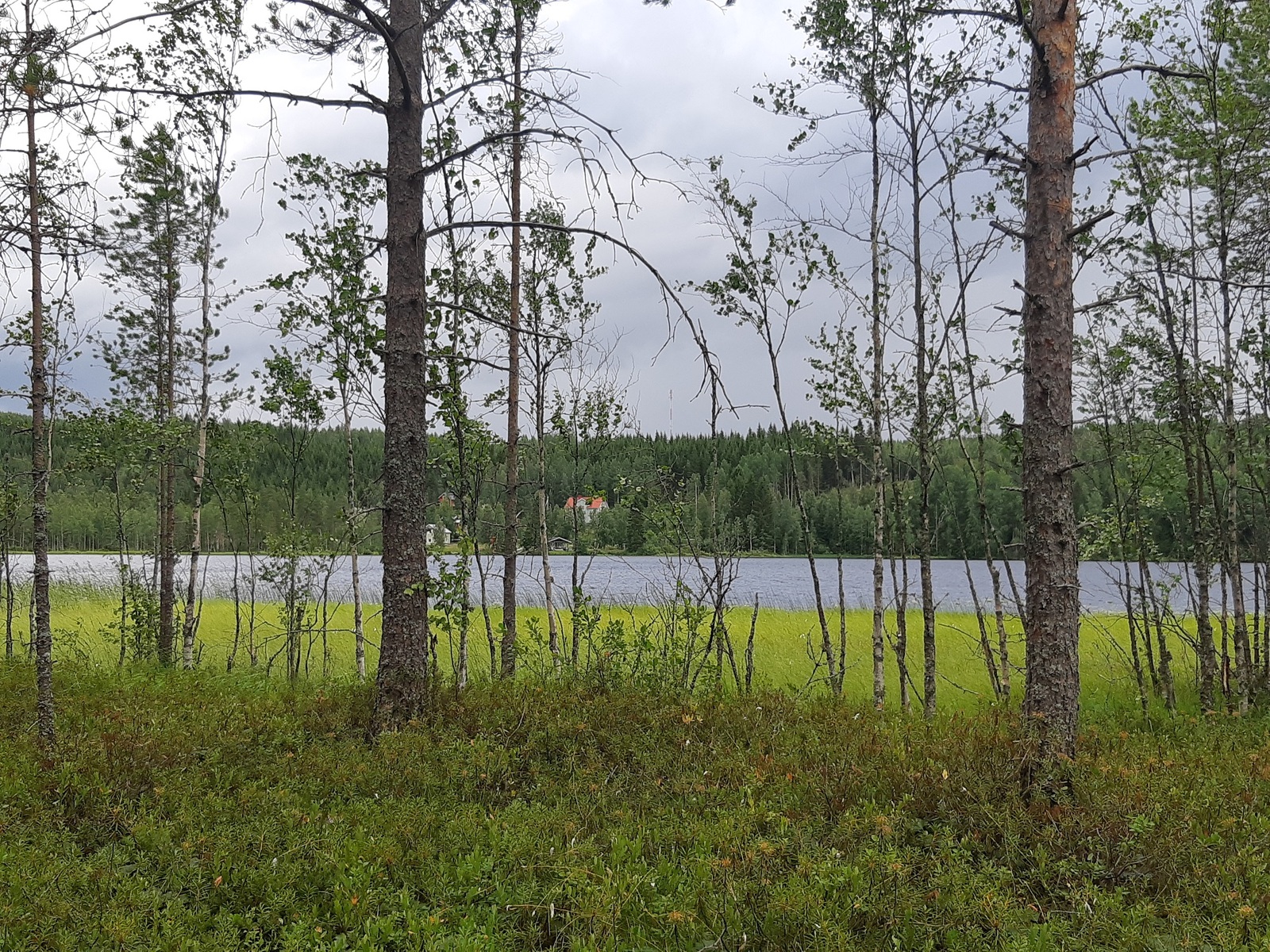 Rautavaara, Ylä-Luosta Kortteli 8, tontti 4 | Metsähallitus