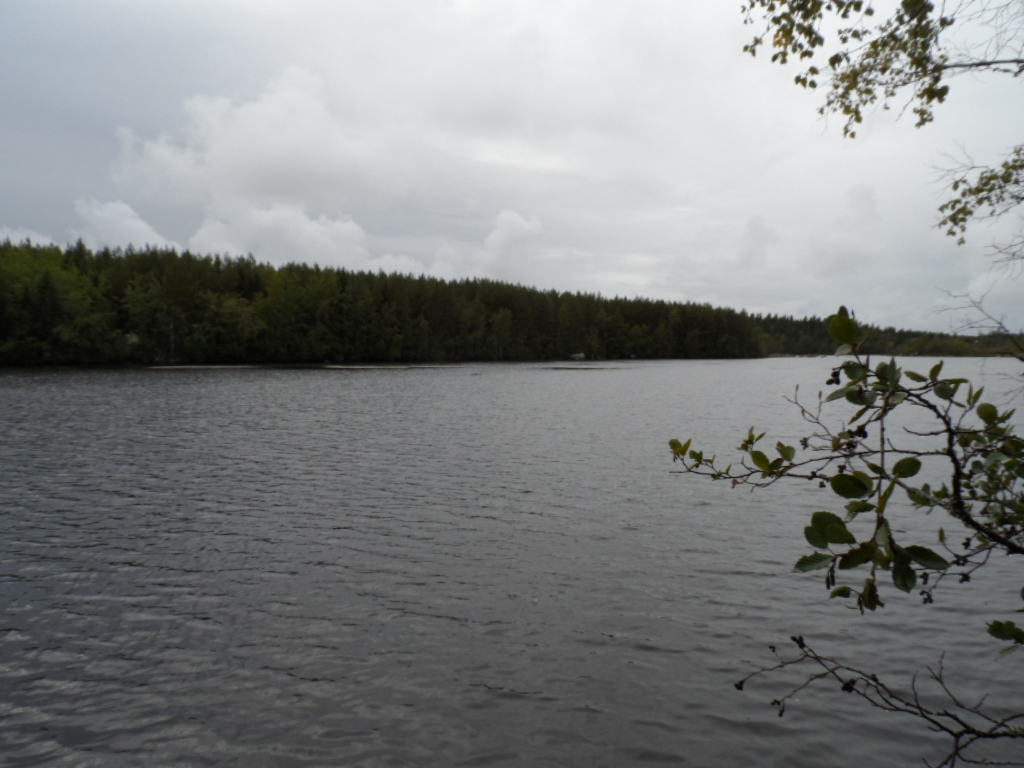 Mustasaari, Storträsket, Raippaluoto, Raggskärsvägen 110 Tontti 2 |  Metsähallitus