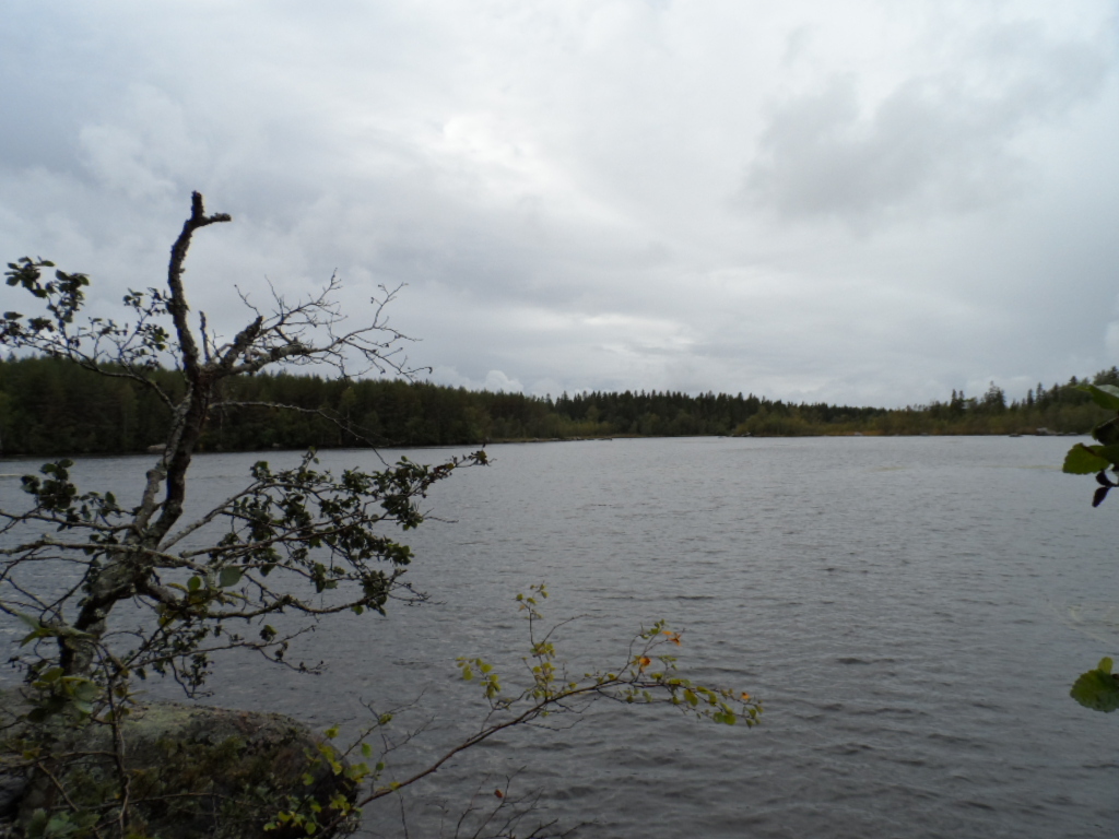 Mustasaari, Storträsket, Raippaluoto, Raggskärsvägen 110 Tontti 2 |  Metsähallitus