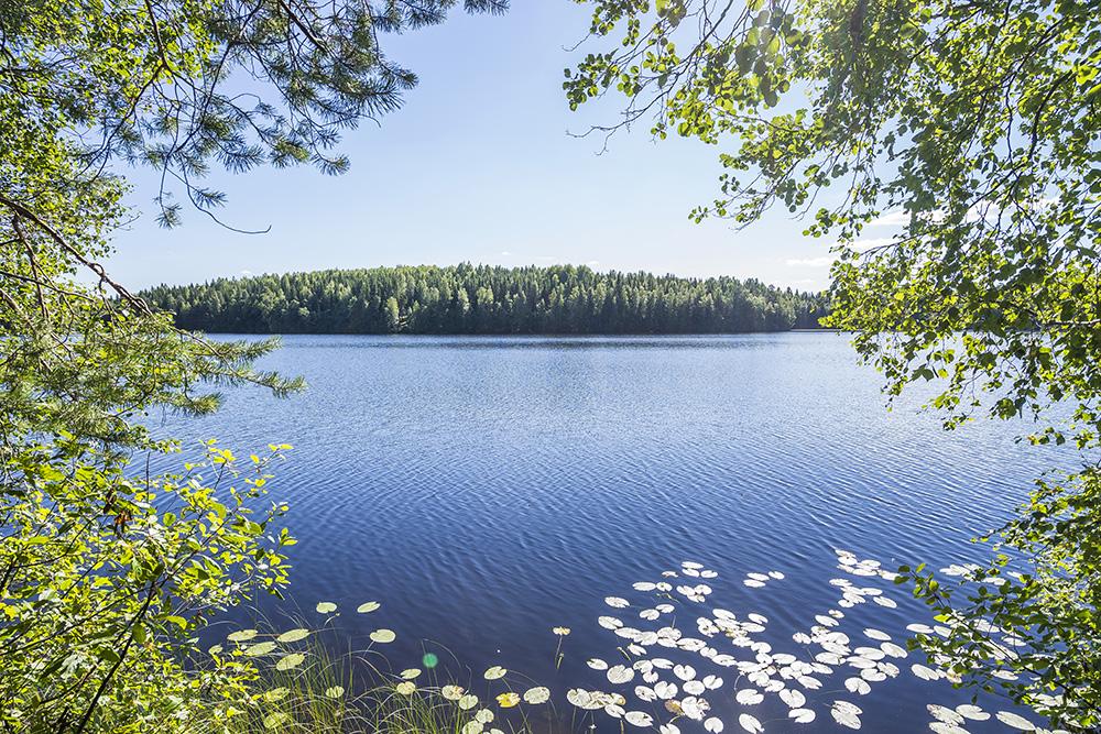 Hämeenlinna, 1, Kyynäröinen, Renko Kortteli 1, tontti 1 | Metsähallitus