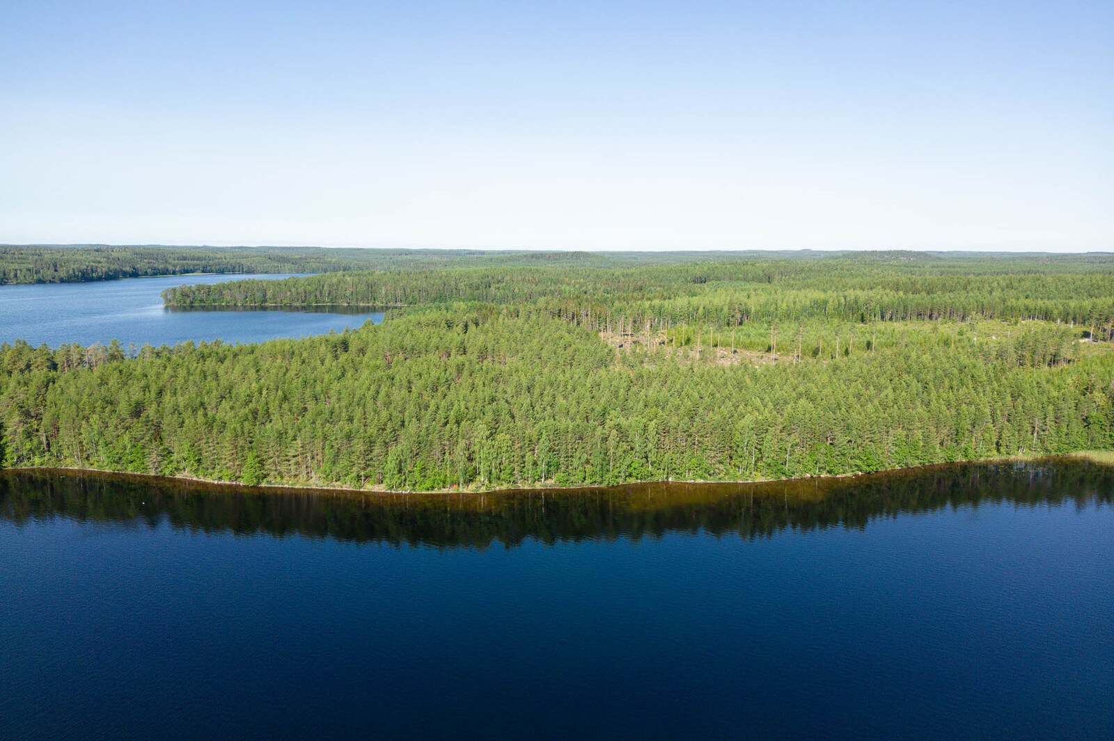 Ilmakuvassa metsää silmänkantamattomiin ja tumman sinisenä hehkuva järvi.