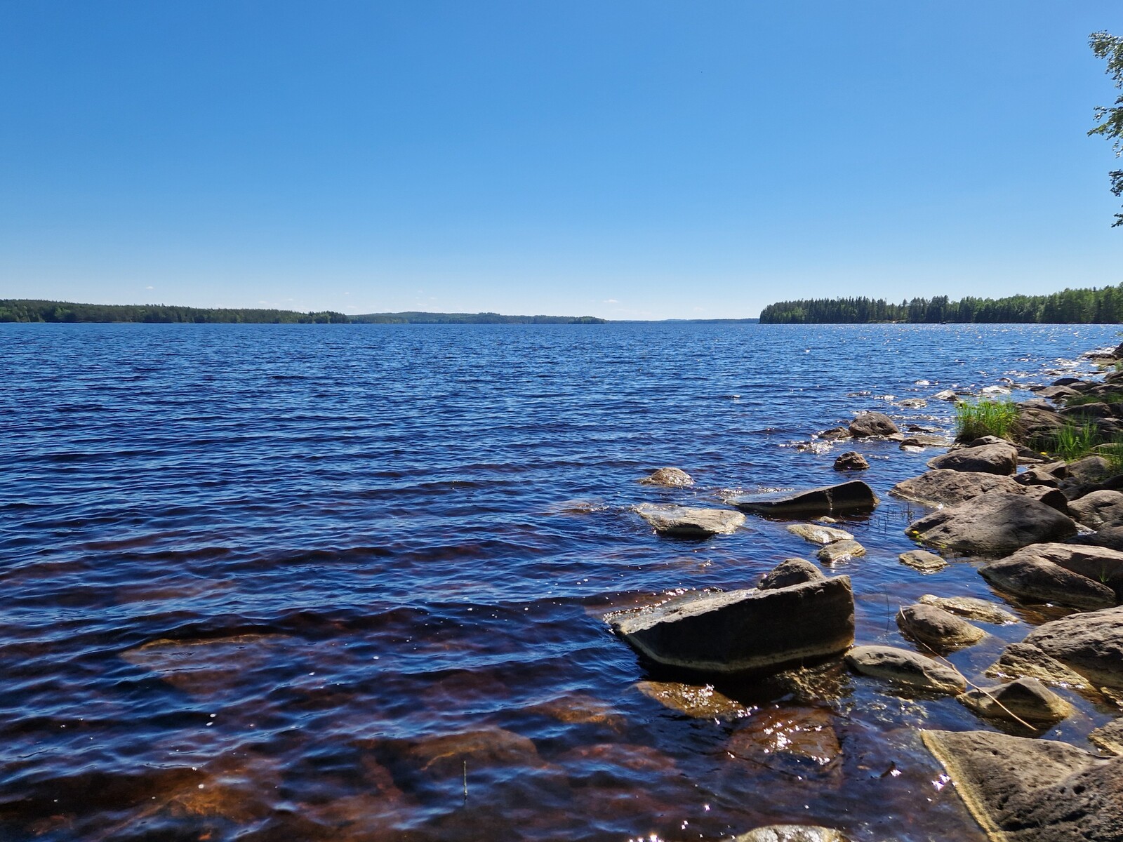 Järven rannalla on kiviä.