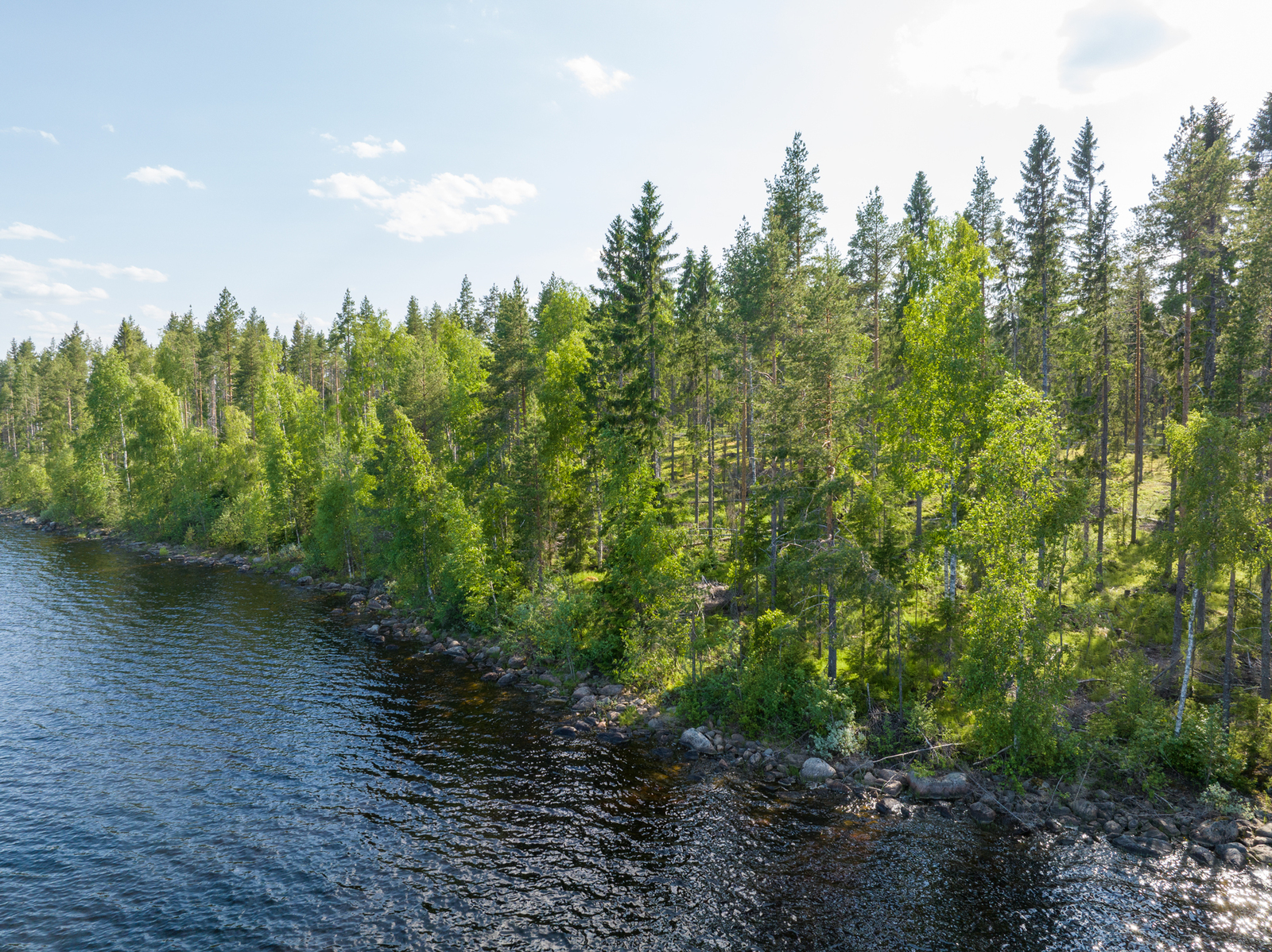 Kuva on järveltä päin, tonttien ranta-aluella kasvaa koivu- ja mäntypuustoa.