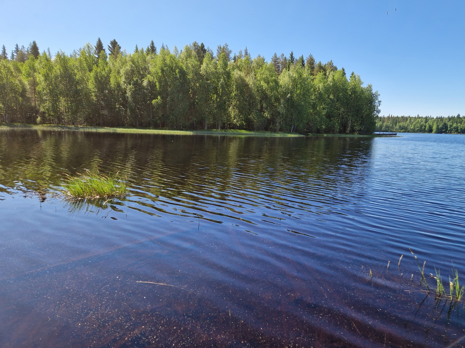 Kuvassa näkyy Kannaksansaari, joka sijaitsee tontin edustalla.