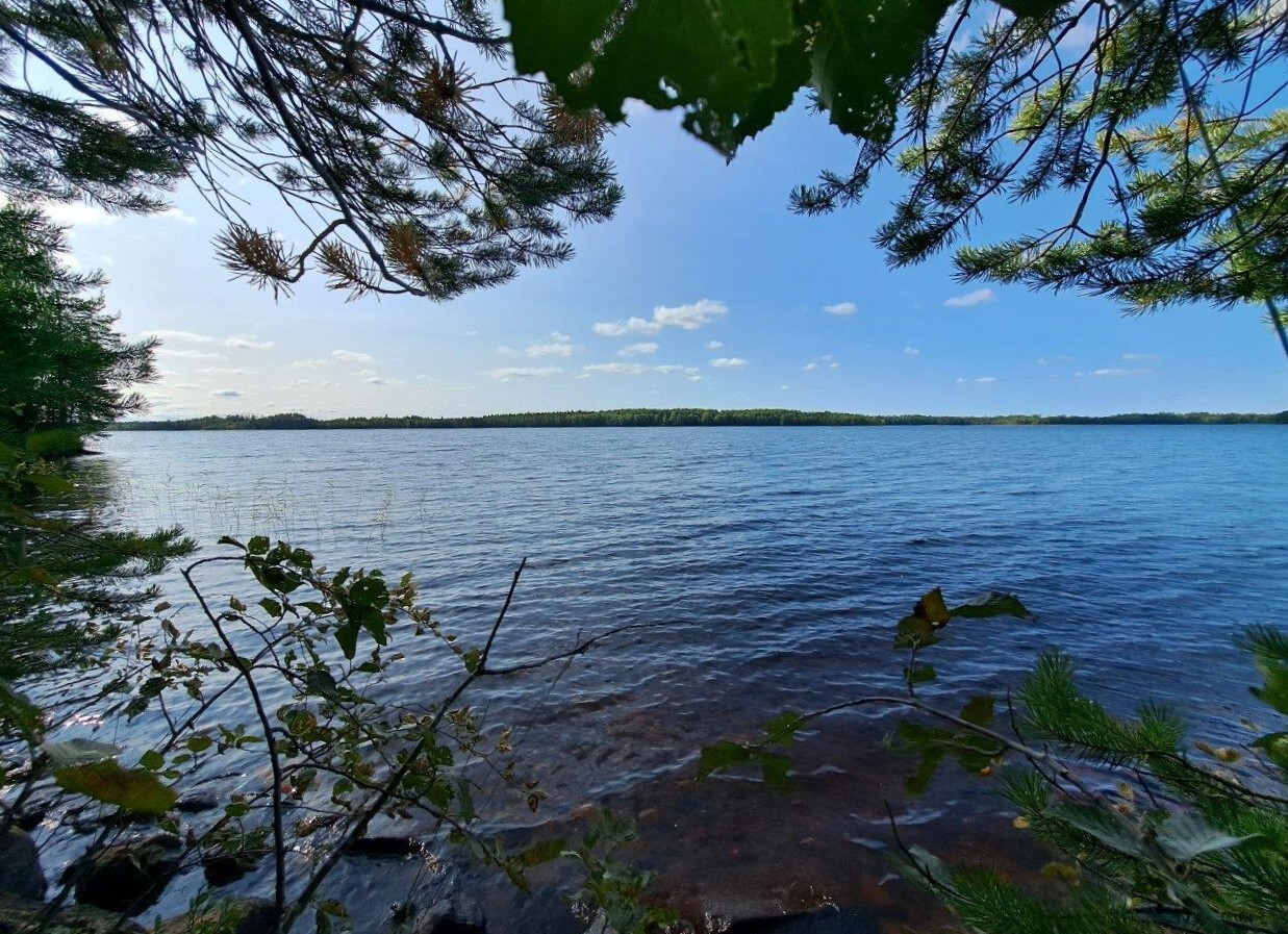 Oksien keskeltä näkymä ulapalle, järvi ja taivas on sinisiä.