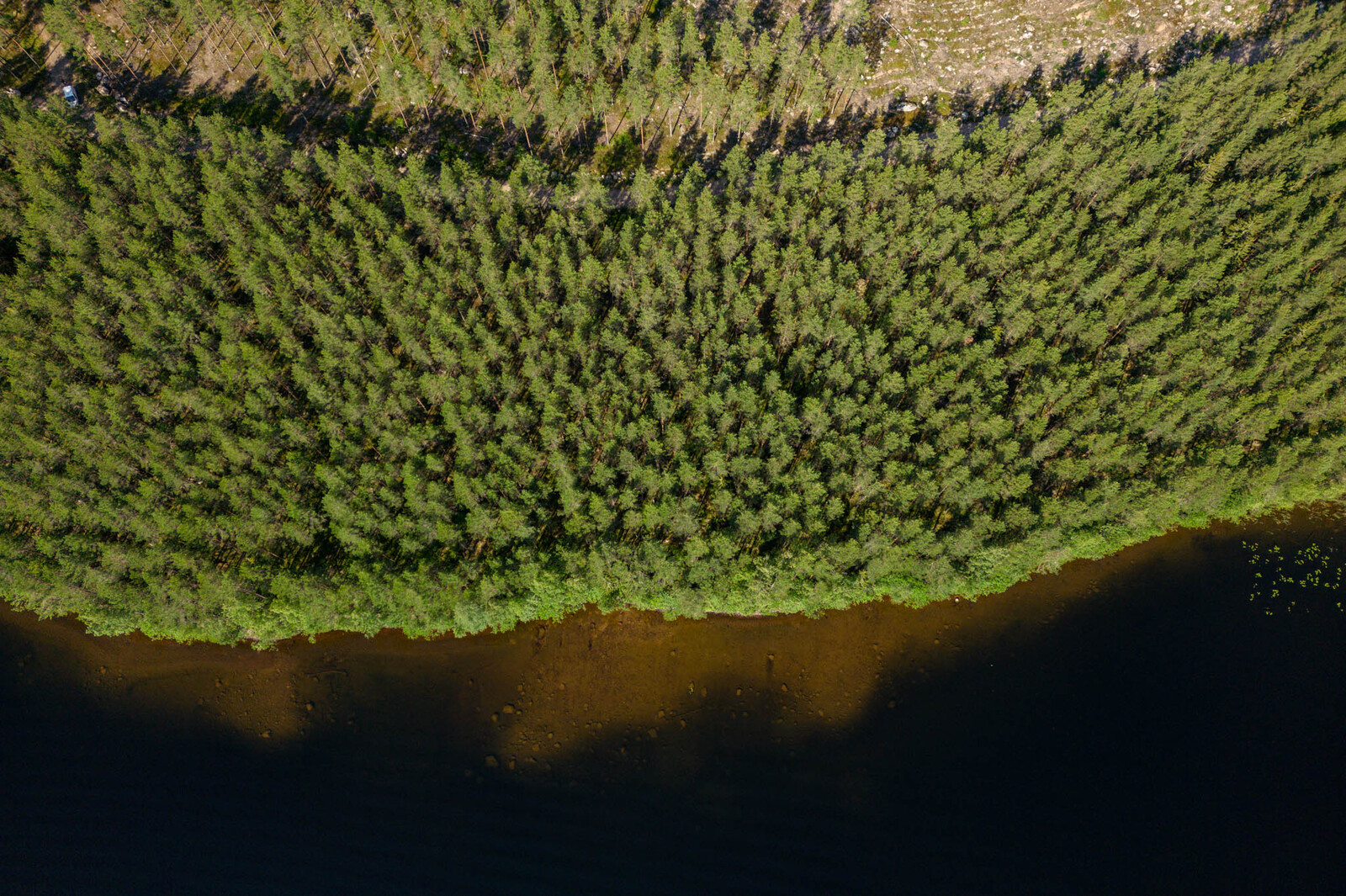 Ilmakuva suoraan tonttien yläpuolelta, kirkkaassa rantavedessä erottuu järven pohja.