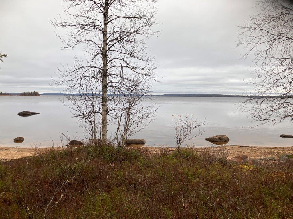 Järven rantaa