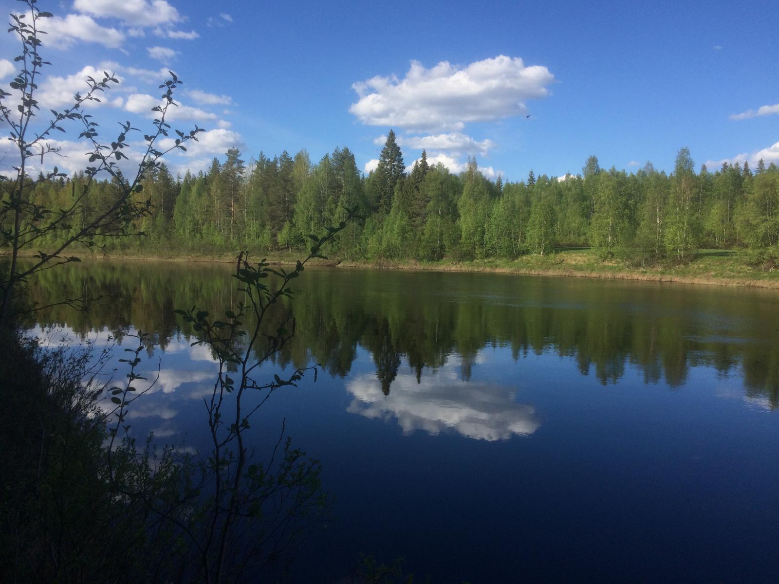 Vastarannan metsä ja lähes pilvetön taivas heijastuvat joen tyyneen pintaan.