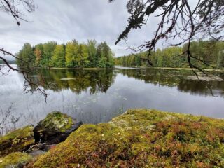 Sammalen peittämiä rantakallioita, edessä tyyni järvi sekä saari ja vastaranta.