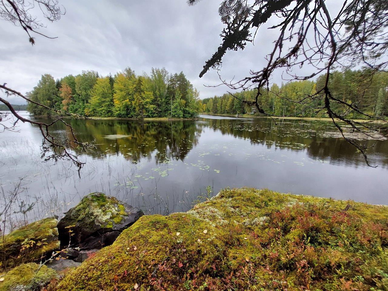 Sammalen peittämiä rantakallioita, edessä tyyni järvi sekä saari ja vastaranta.