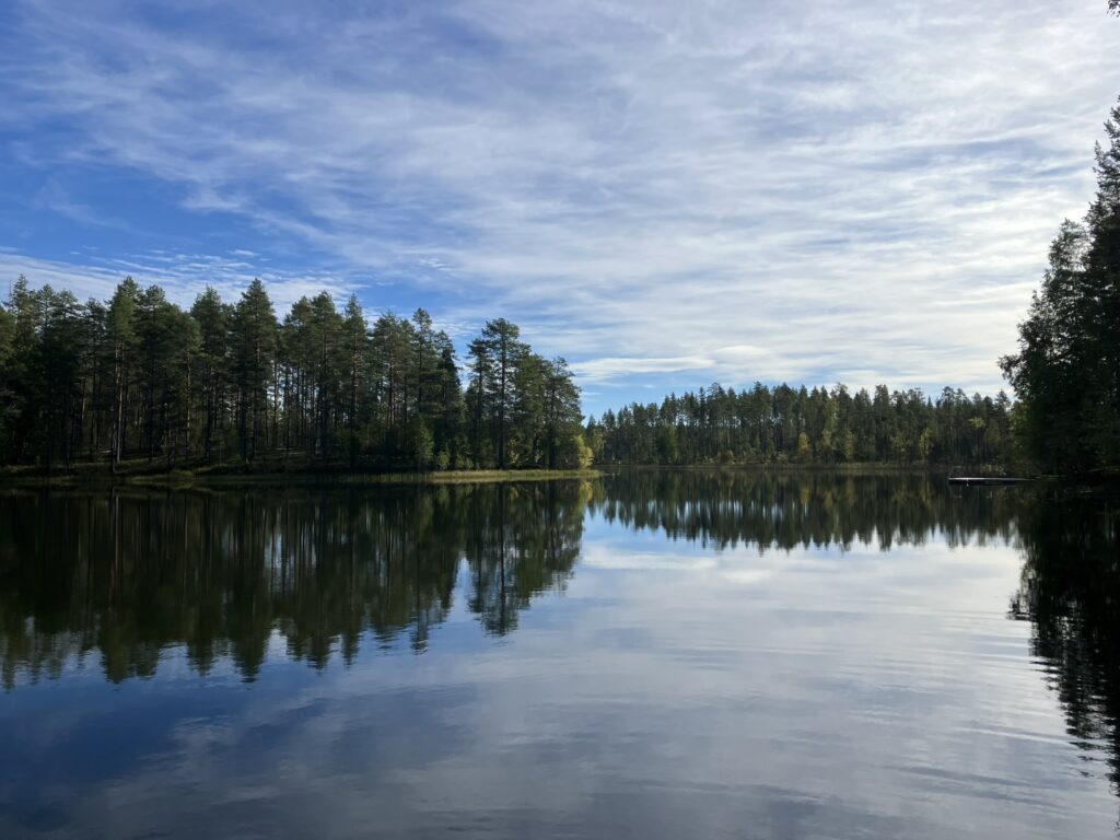 Kesäinen järvenrantamaisema.