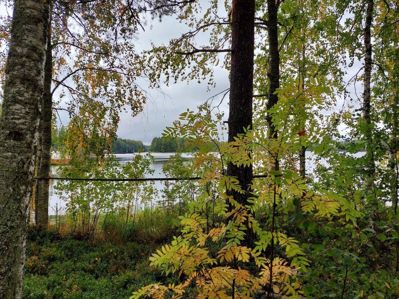 Kellastuvien lehtipuiden takaa pilkistää järvi ja vastaranta.