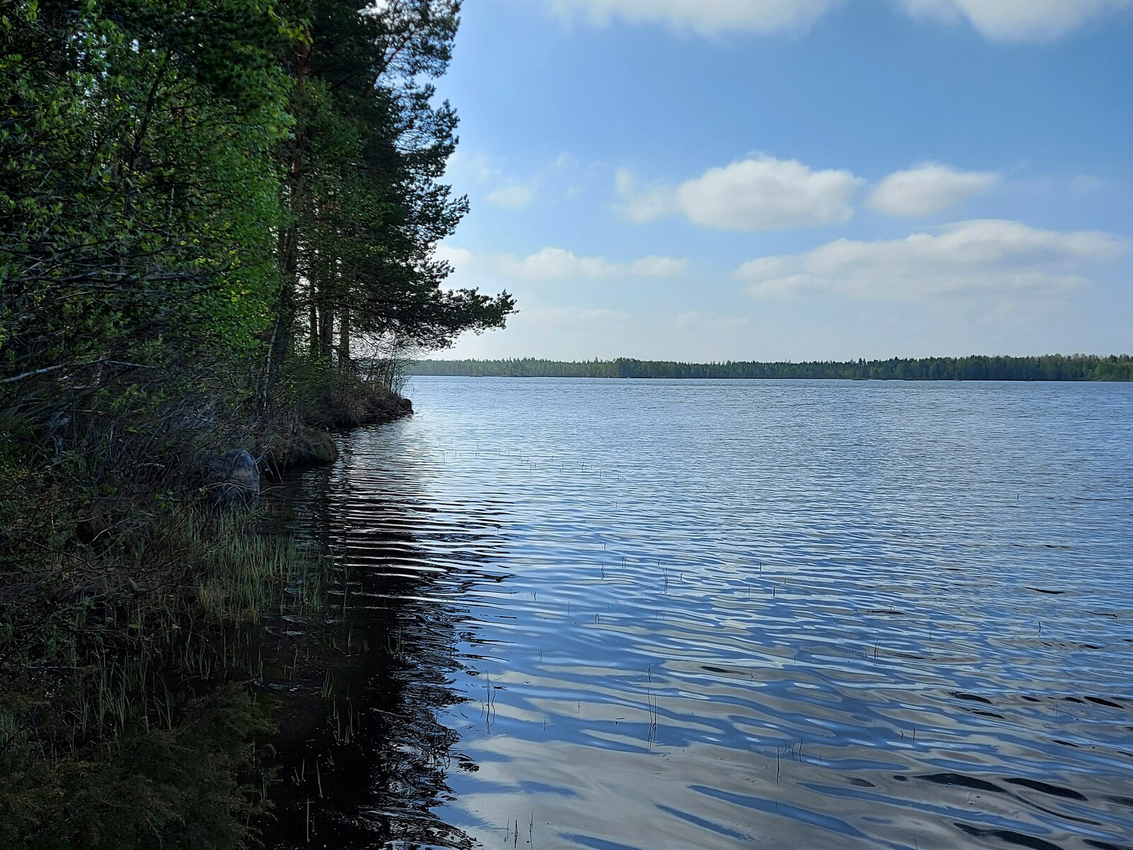 Järven rantaa ja näkymä järvelle.