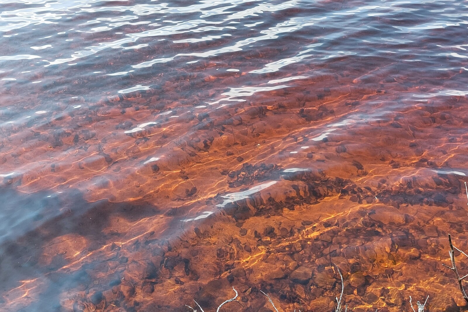 Pirttijärvessä on kirkas vesi, järven pohja näkyy.