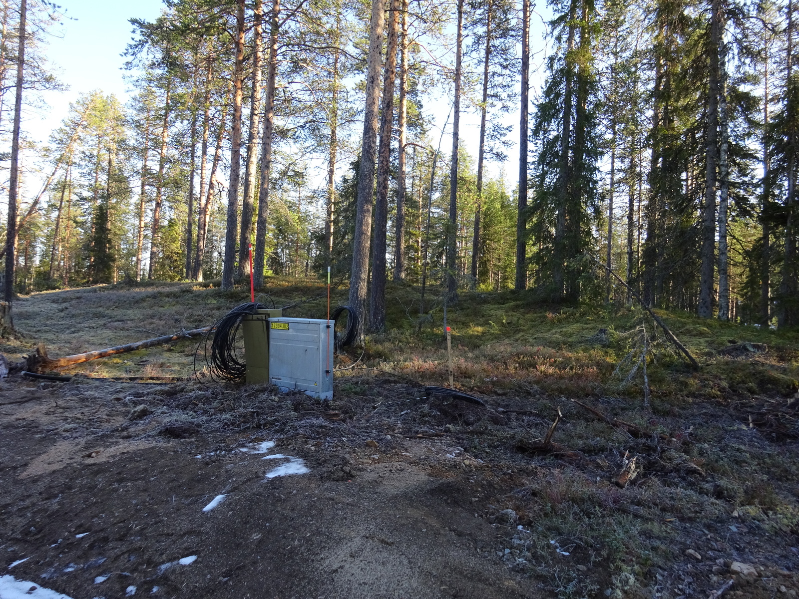 Valokuvassa näkyy mm. tontilla kasvavia puita ja muuta kasvillisuutta.