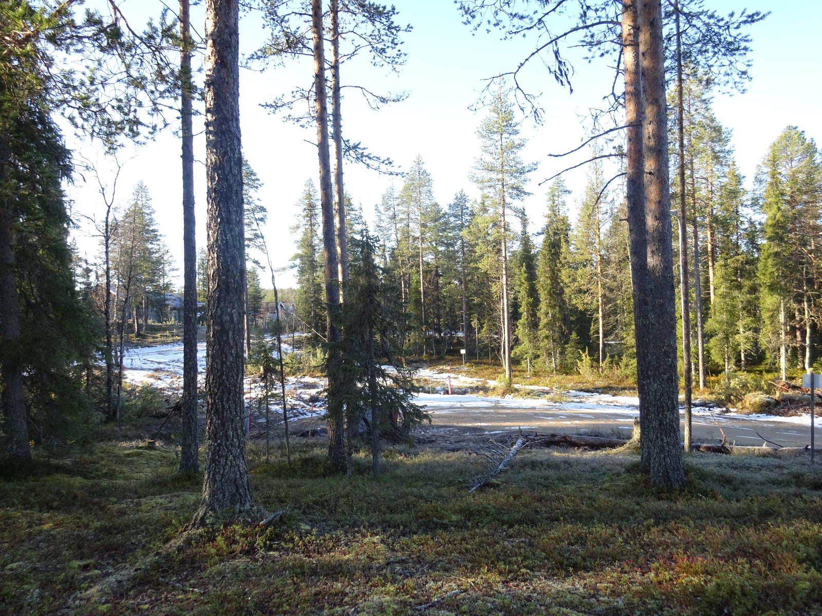 Valokuvassa näkyy mm. tontilla kasvavia puita ja muuta kasvillisuutta.