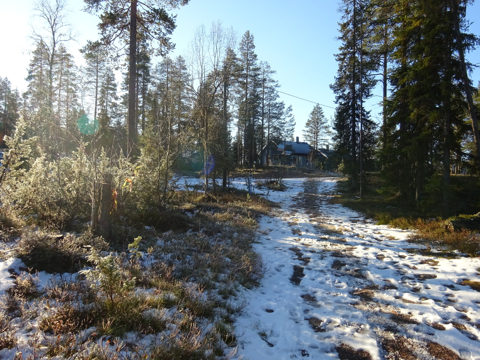 Valokuvassa näkyy mm. tontilla kasvavia puita ja muuta kasvillisuutta.