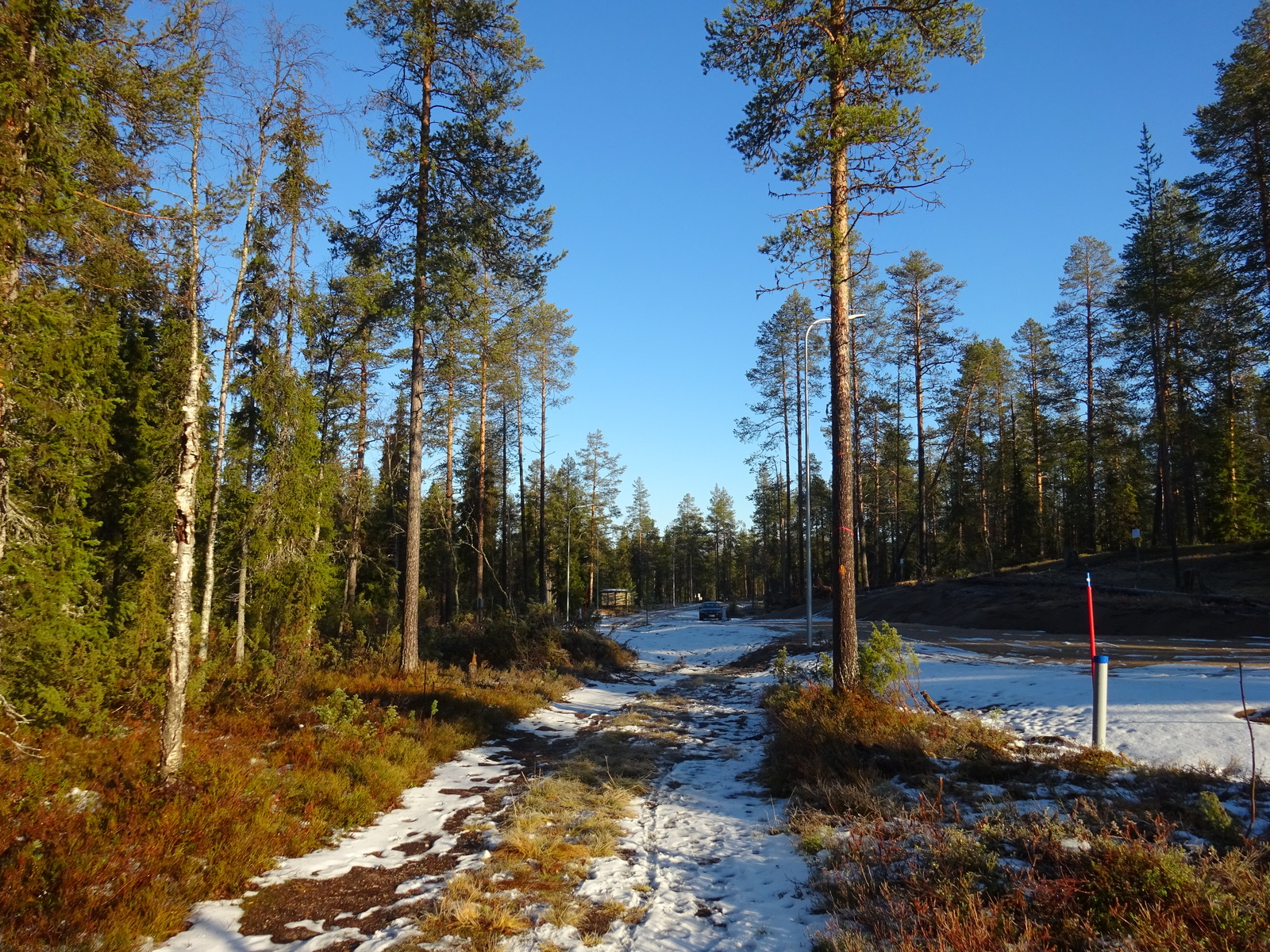 Valokuvassa näkyy mm. tontilla kasvavia puita ja muuta kasvillisuutta.