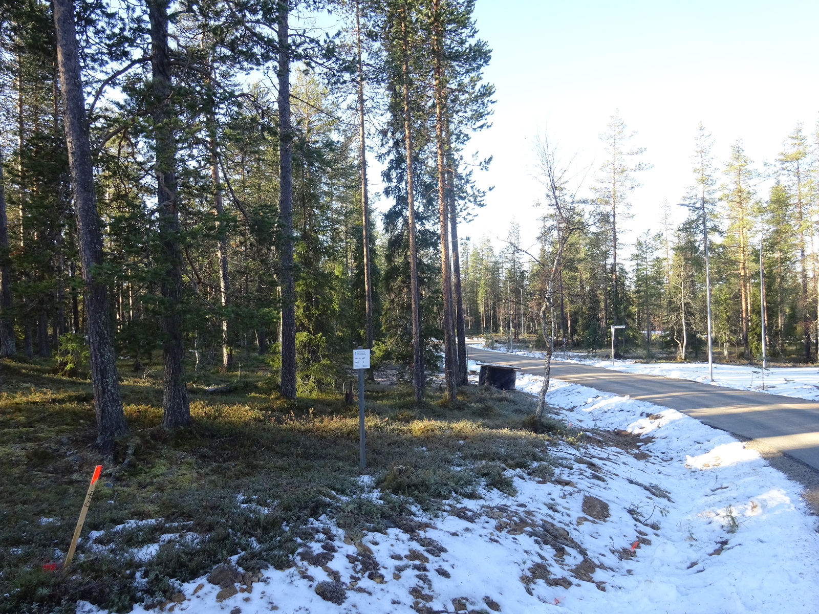 Valokuvassa näkyy mm. tontilla kasvavia puita ja muuta kasvillisuutta.