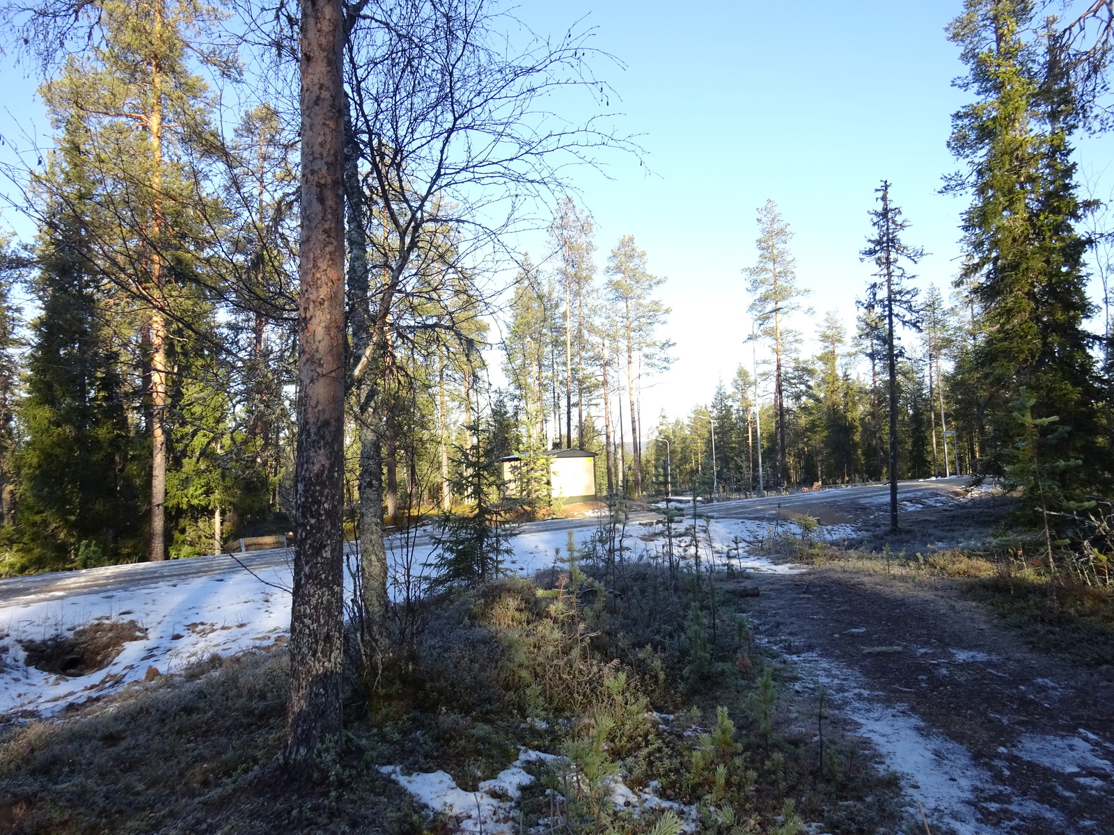 Valokuvassa näkyy mm. tontilla kasvavia puita ja muuta kasvillisuutta.