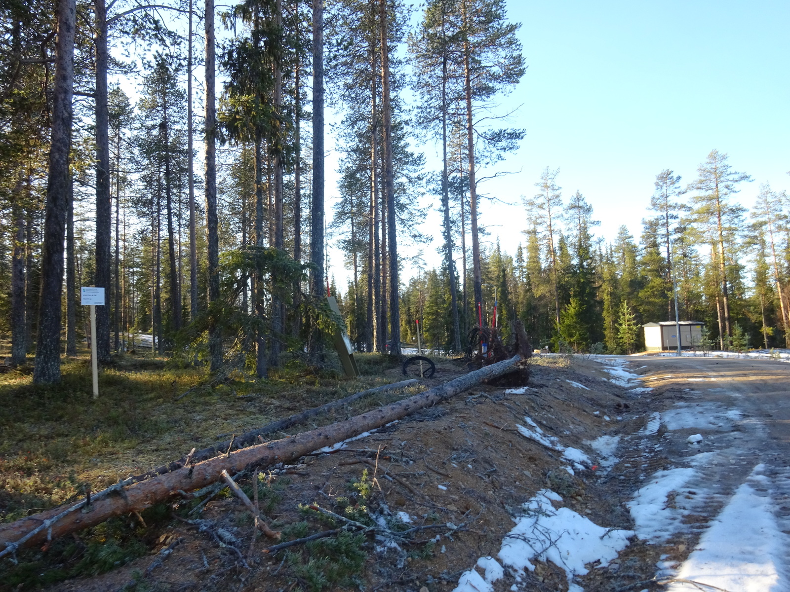 Valokuvassa näkyy mm. tontilla kasvavia puita ja muuta kasvillisuutta.