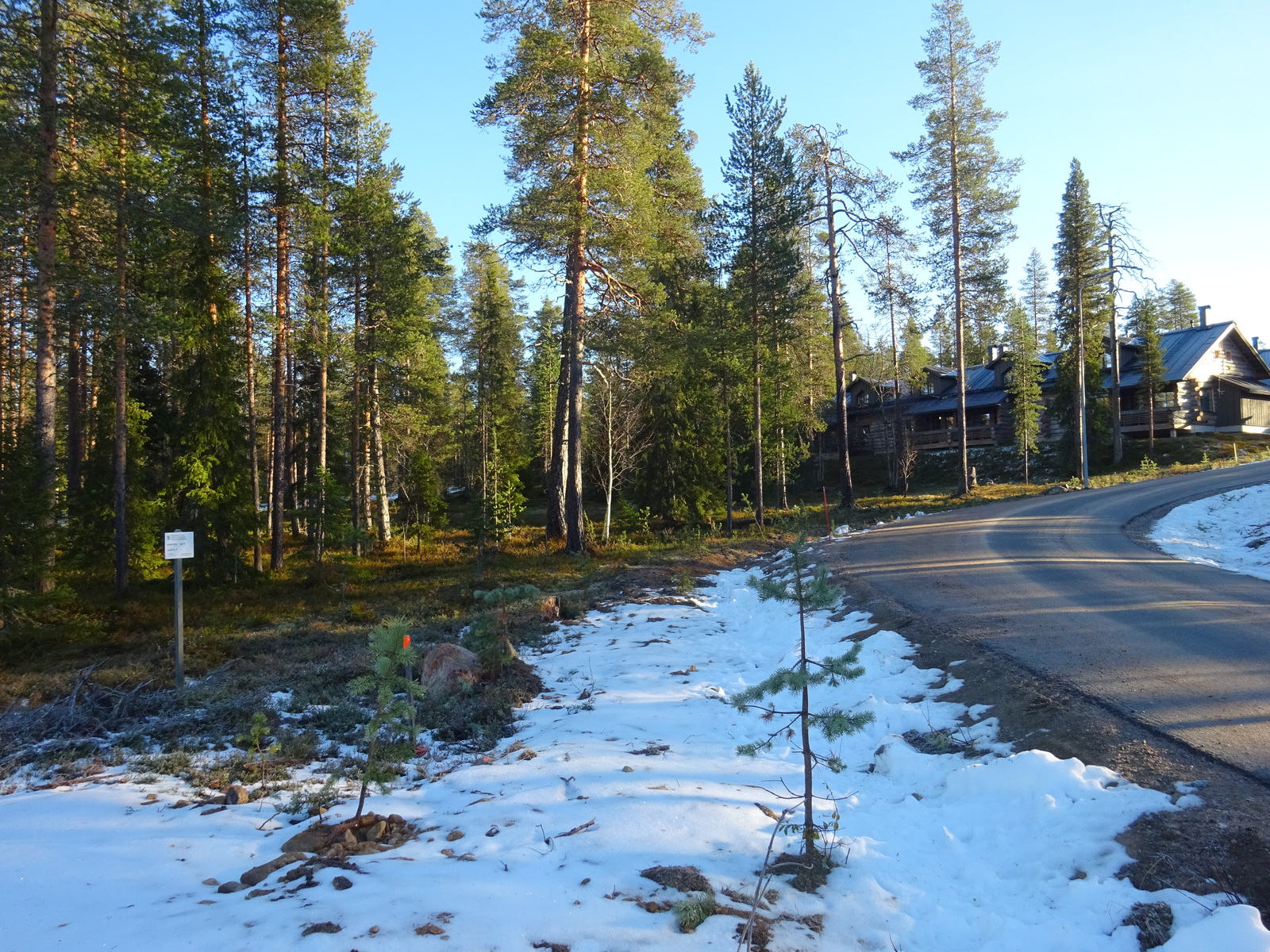 Valokuvassa näkyy mm. tontilla kasvavia puita ja muuta kasvillisuutta.