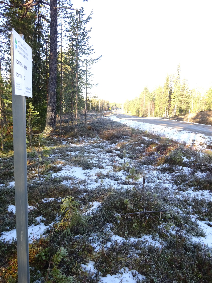 Valokuvassa näkyy mm. tontilla kasvavia puita ja muuta kasvillisuutta.