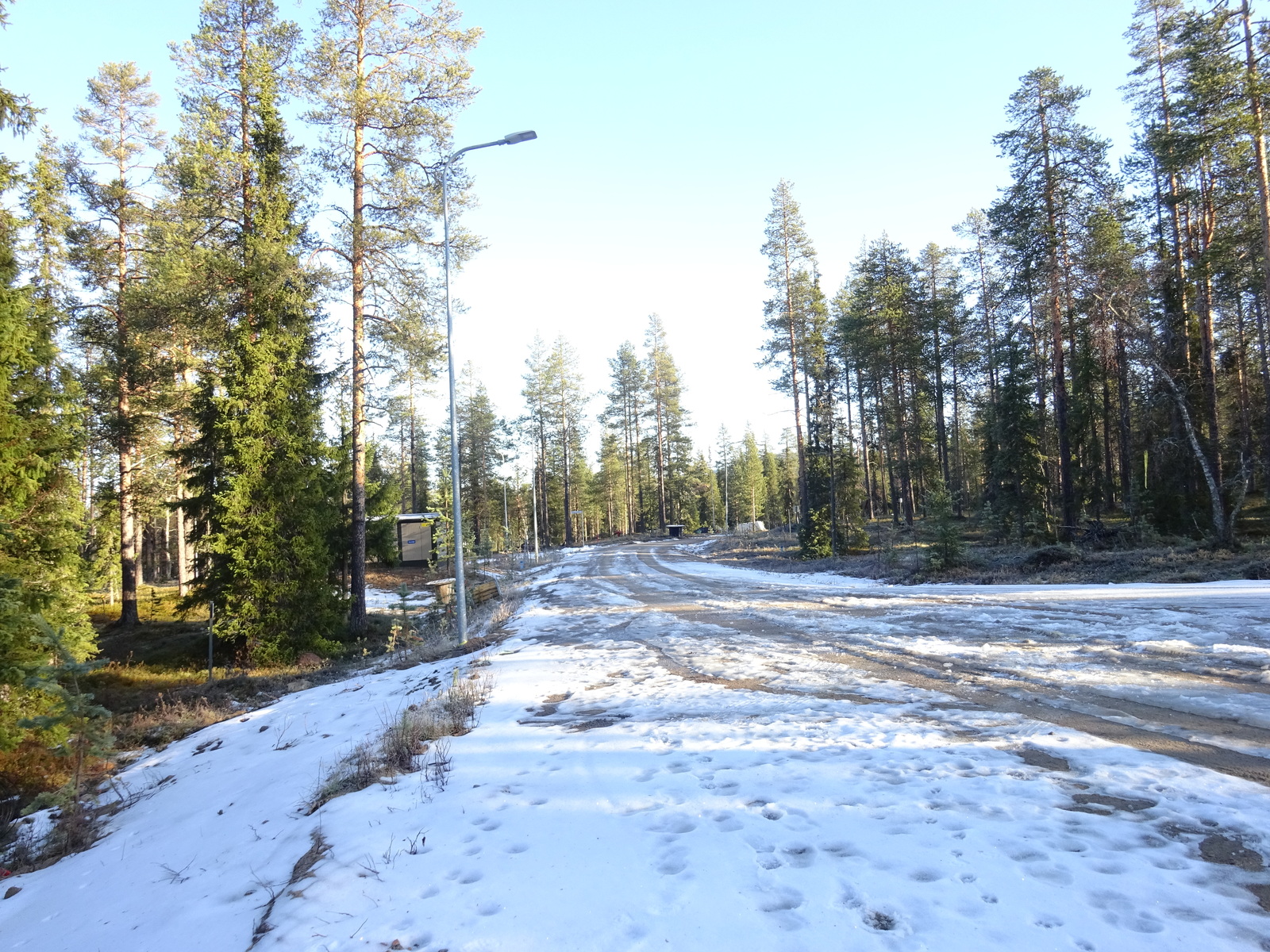 Valokuvassa näkyy mm. tontilla kasvavia puita ja muuta kasvillisuutta.