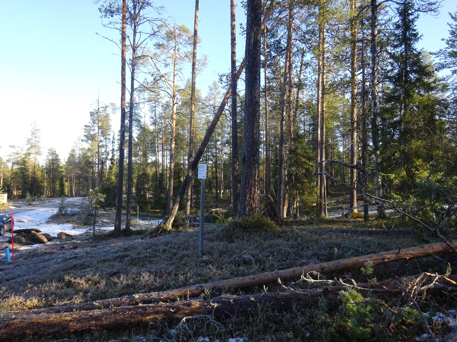 Valokuvassa näkyy mm. tontilla kasvavia puita ja muuta kasvillisuutta.