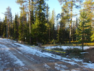 Valokuvassa näkyy mm. tontilla kasvavia puita ja muuta kasvillisuutta.