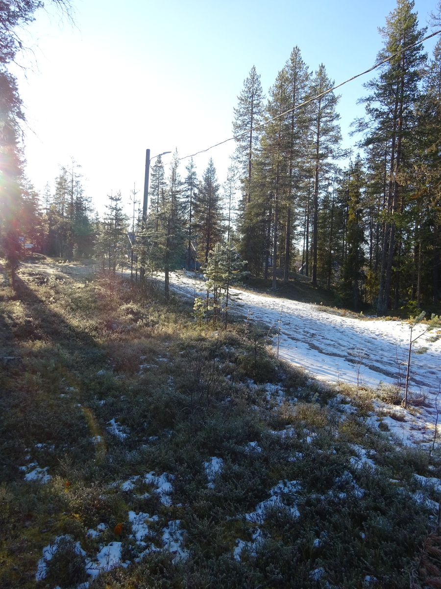 Valokuvassa näkyy mm. tontilla kasvavia puita ja muuta kasvillisuutta.