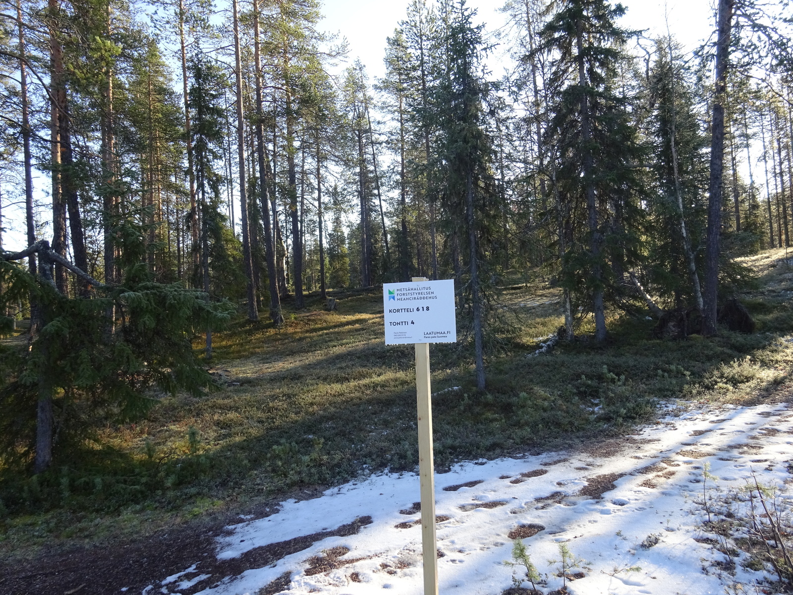 Valokuvassa näkyy mm. tontilla kasvavia puita ja muuta kasvillisuutta.