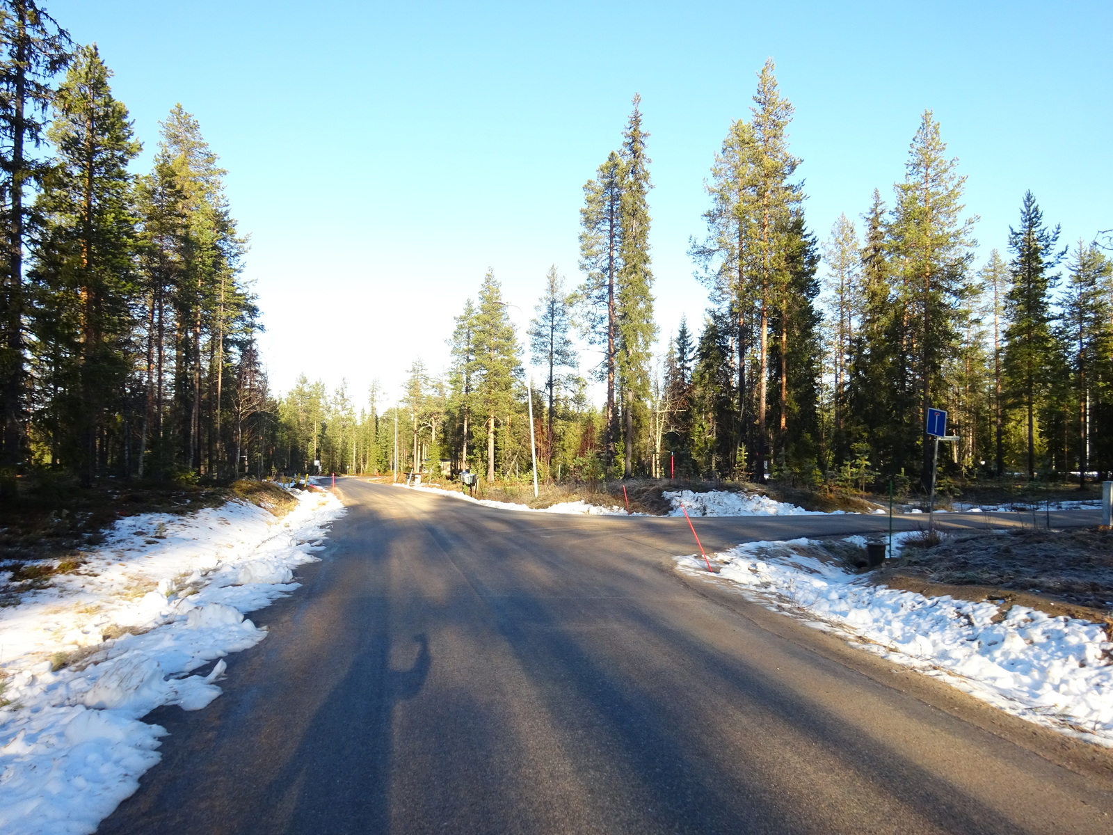 Valokuvassa näkyy mm. tontilla kasvavia puita ja muuta kasvillisuutta.