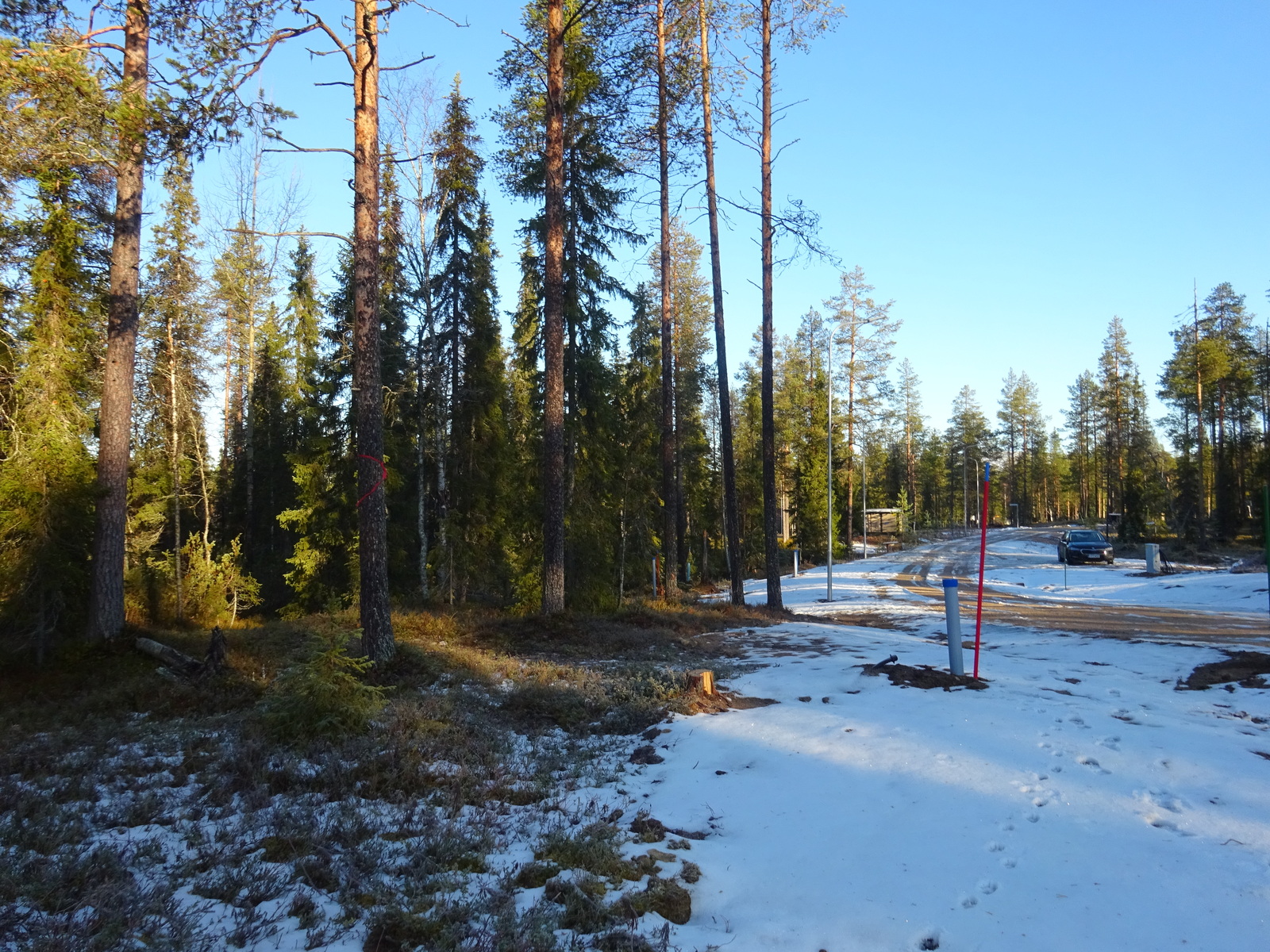 Valokuvassa näkyy mm. tontilla kasvavia puita ja muuta kasvillisuutta.