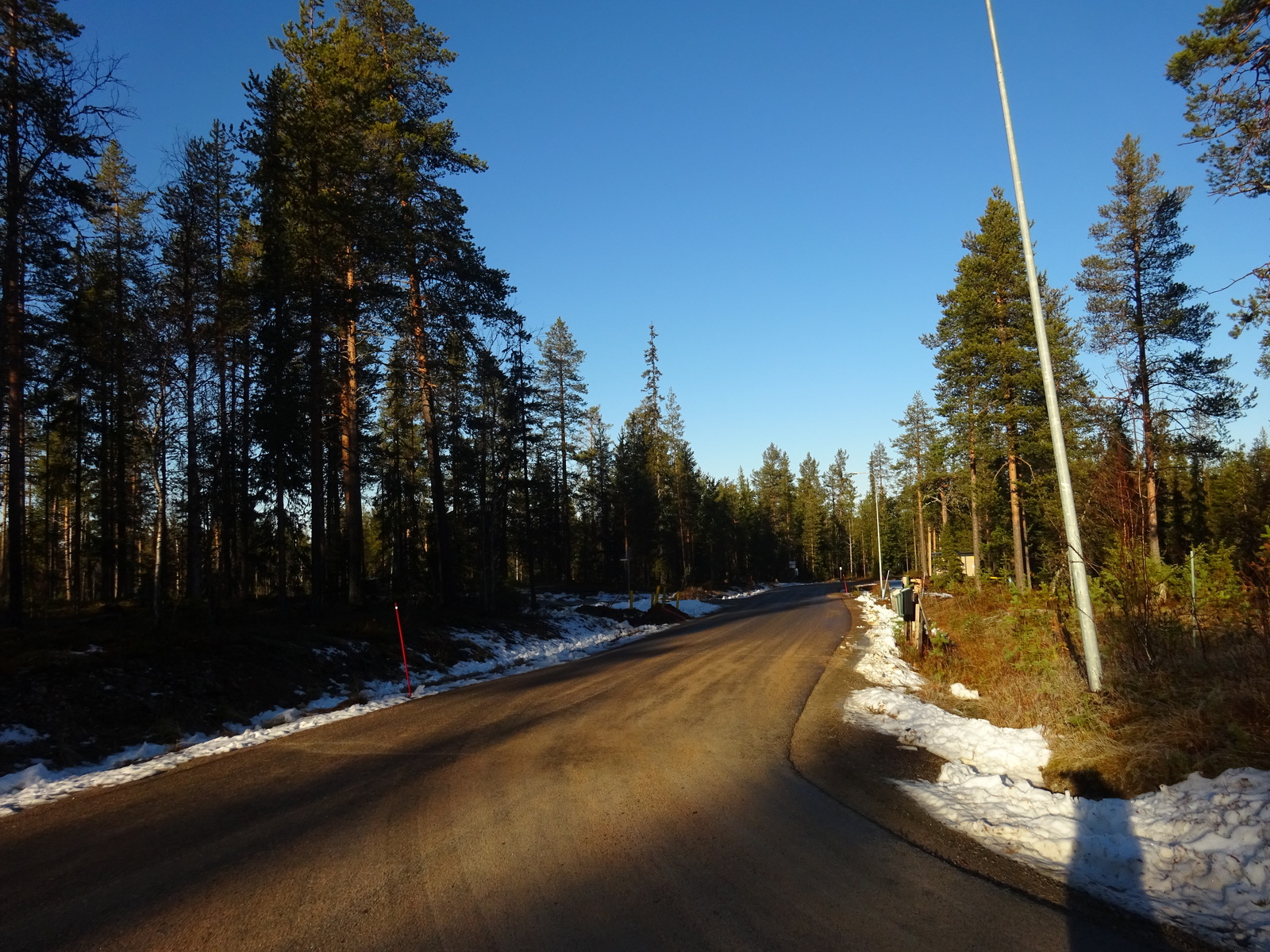 Valokuvassa näkyy mm. tontilla kasvavia puita ja muuta kasvillisuutta.