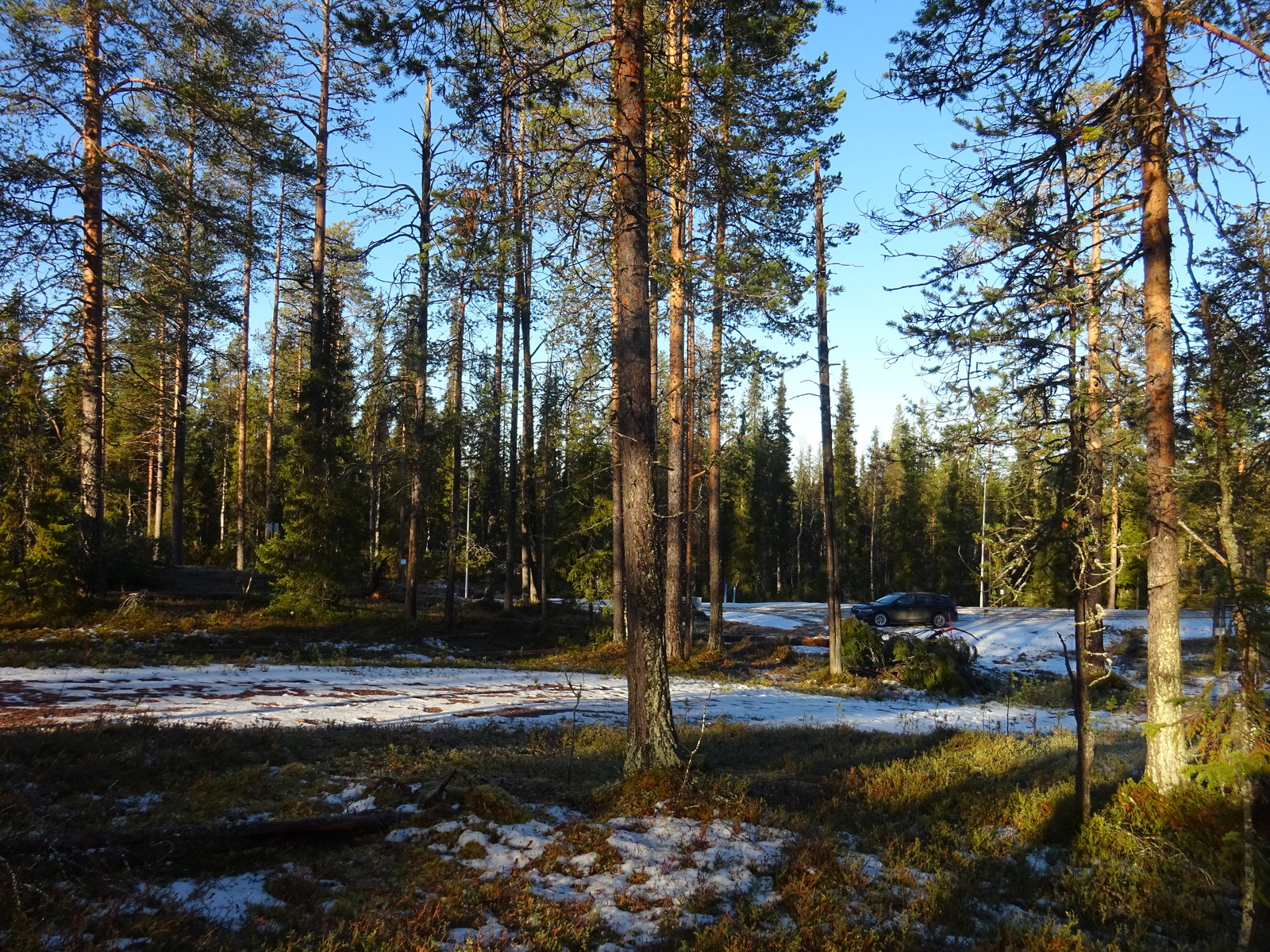 Valokuvassa näkyy mm. tontilla kasvavia puita ja muuta kasvillisuutta.