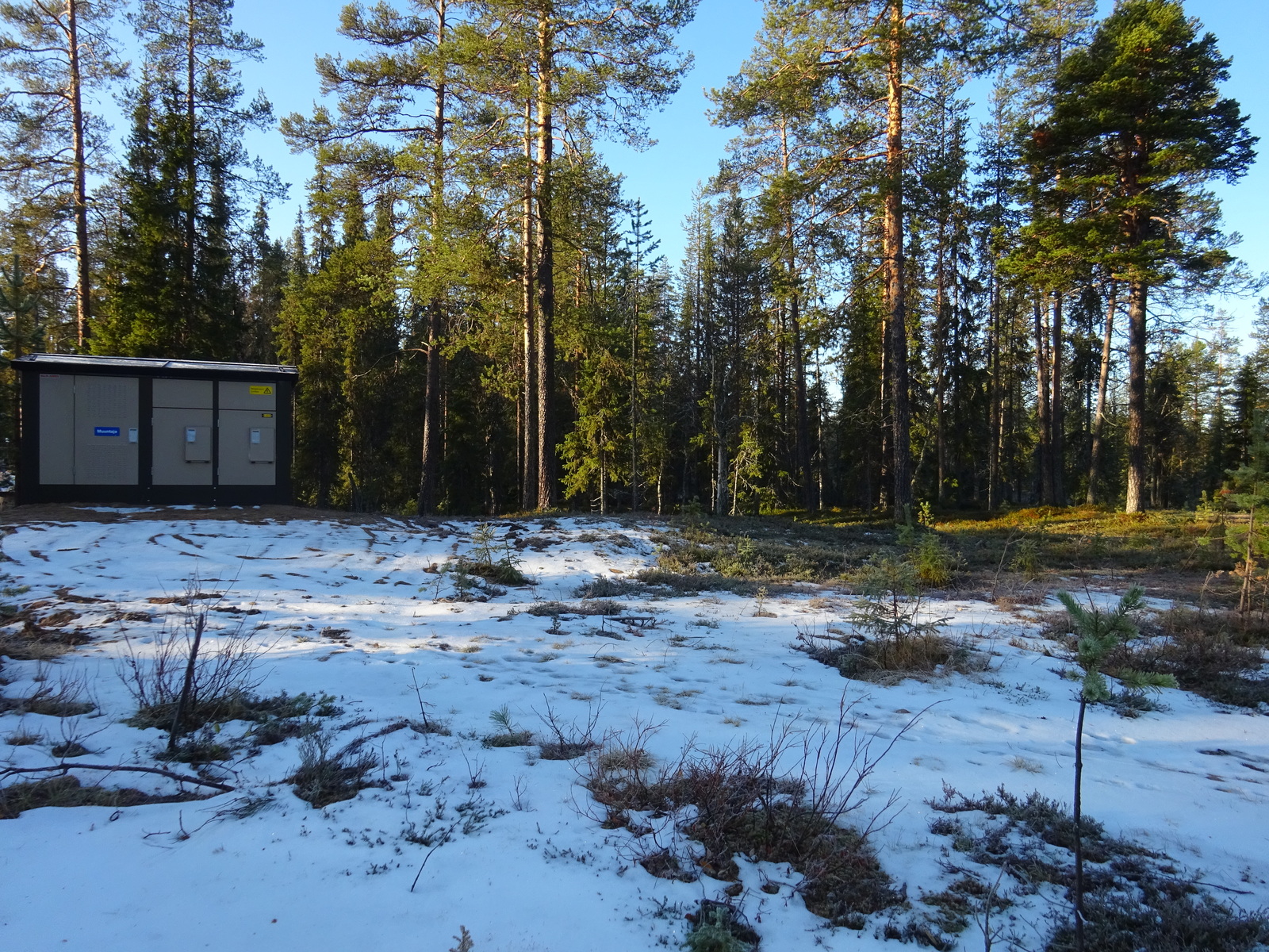 Valokuvassa näkyy mm. tontilla kasvavia puita ja muuta kasvillisuutta.