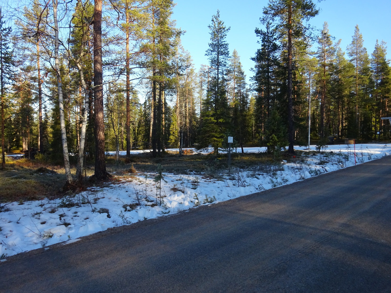 Valokuvassa näkyy mm. tontilla kasvavia puita ja muuta kasvillisuutta.