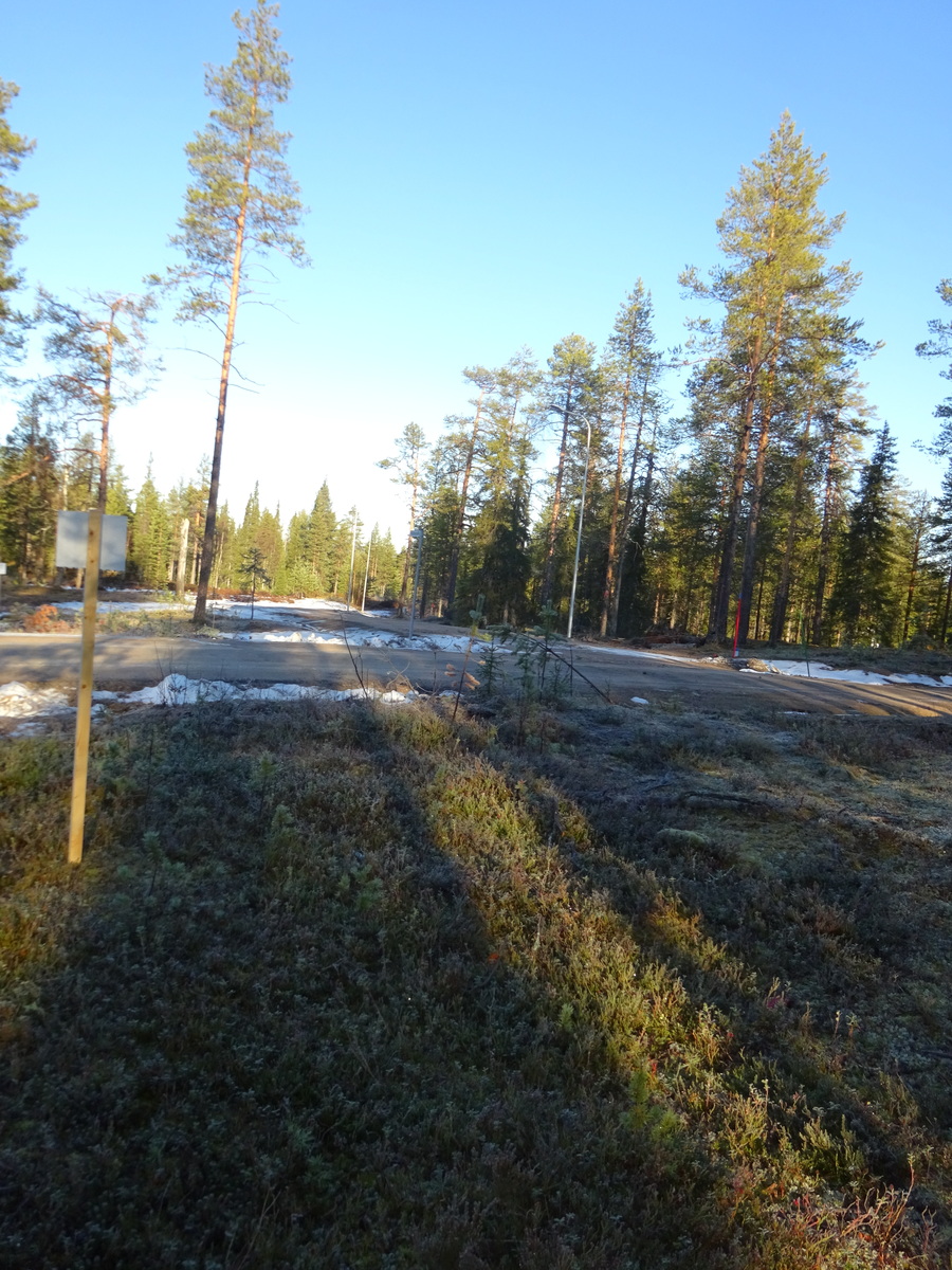 Valokuvassa näkyy mm. tontilla kasvavia puita ja muuta kasvillisuutta.