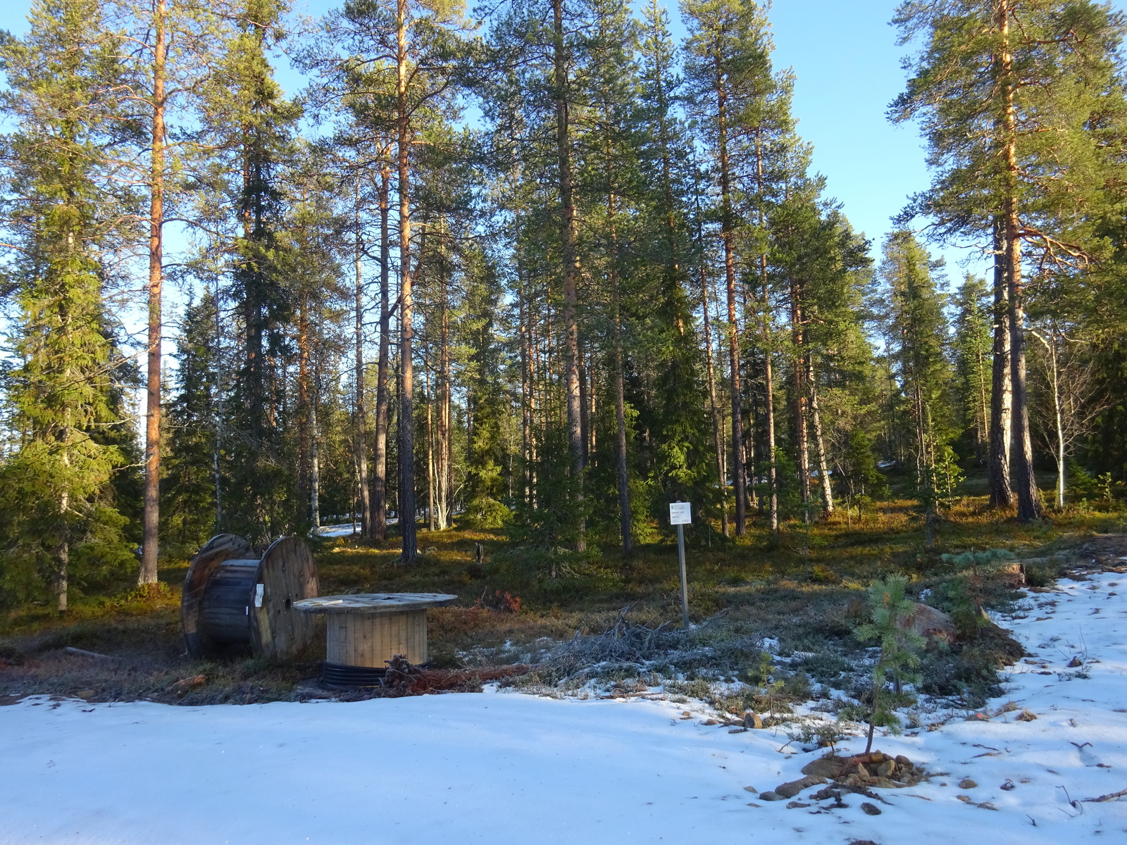 Valokuvassa näkyy mm. tontilla kasvavia puita ja muuta kasvillisuutta.