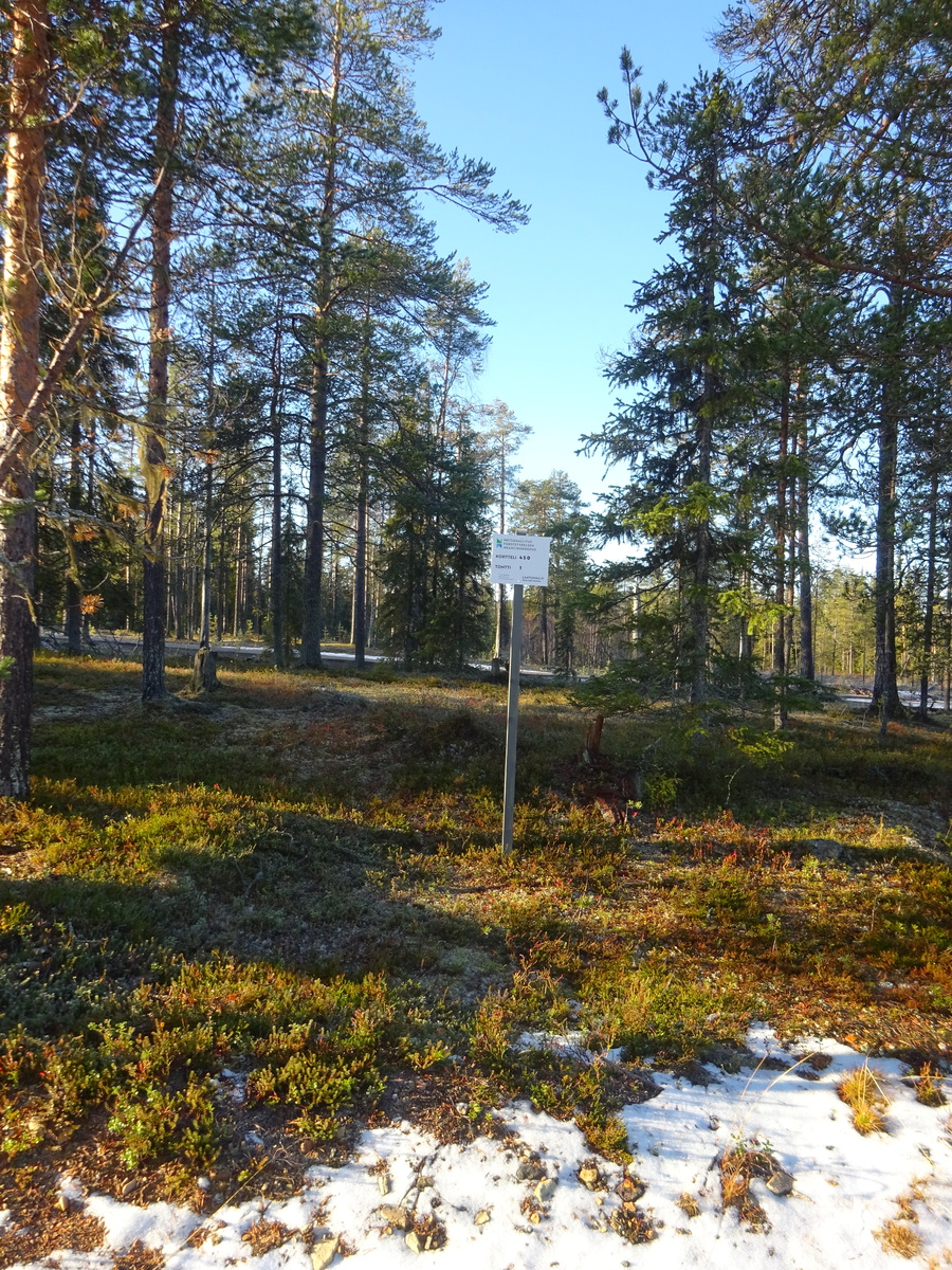 Valokuvassa näkyy mm. tontilla kasvavia puita ja muuta kasvillisuutta.