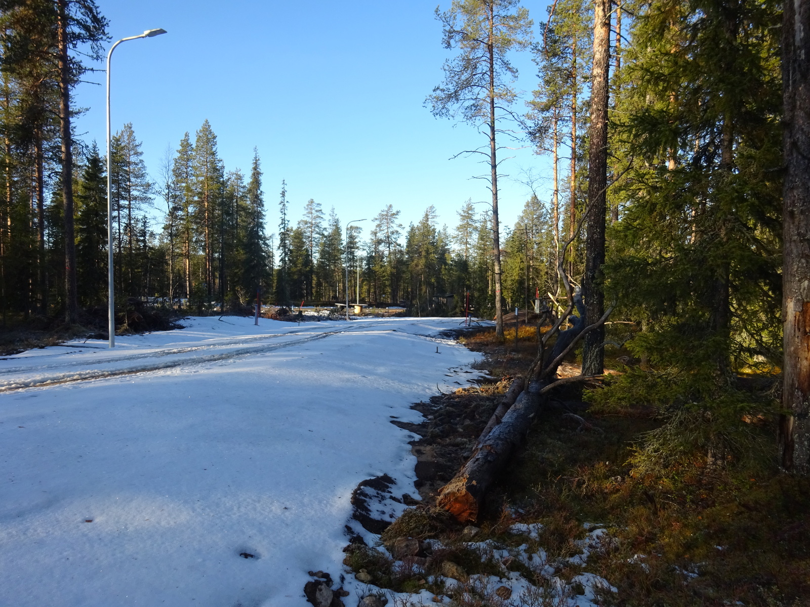 Valokuvassa näkyy mm. tontilla kasvavia puita ja muuta kasvillisuutta.