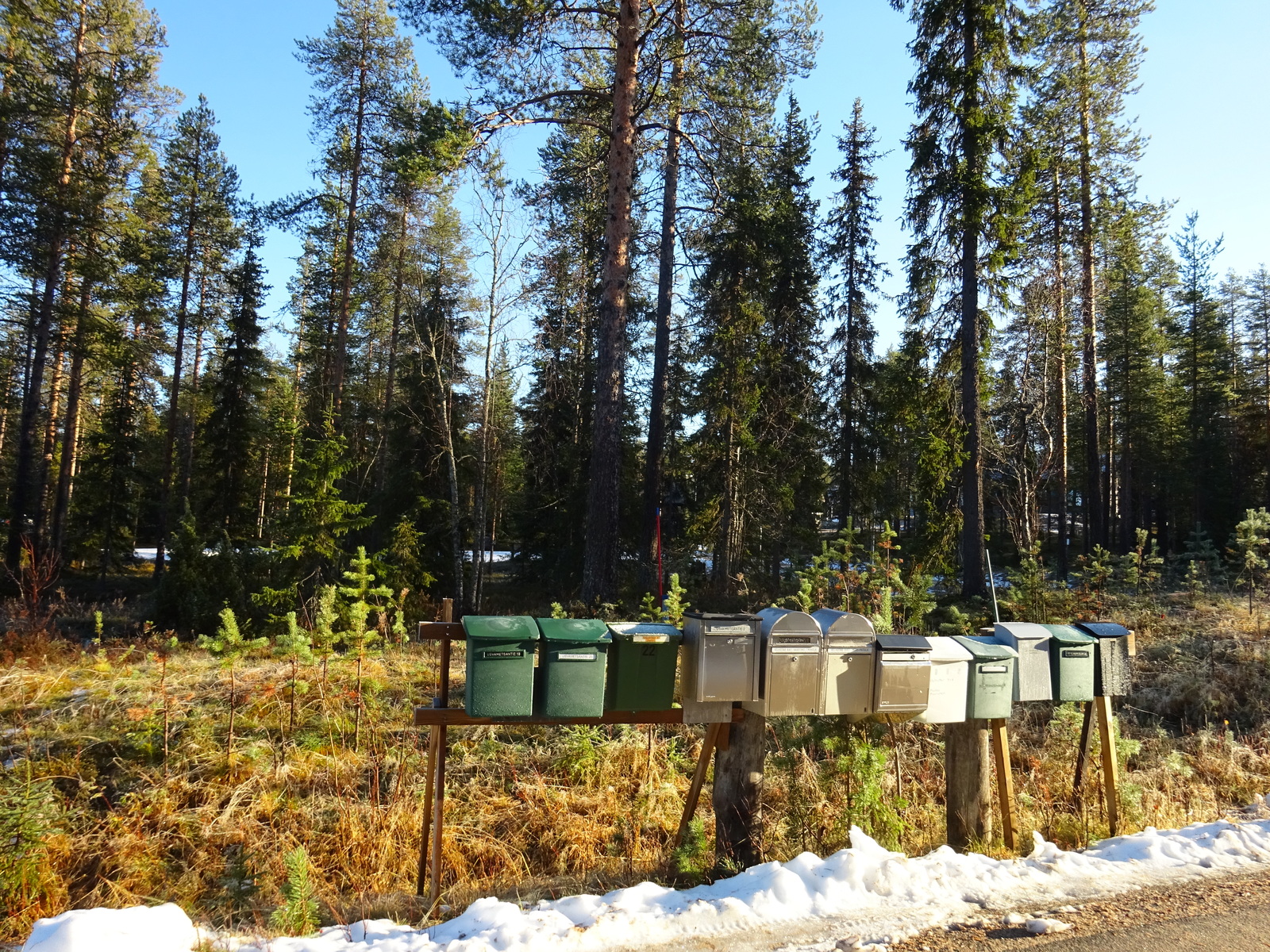 Valokuvassa näkyy mm. tontilla kasvavia puita ja muuta kasvillisuutta.