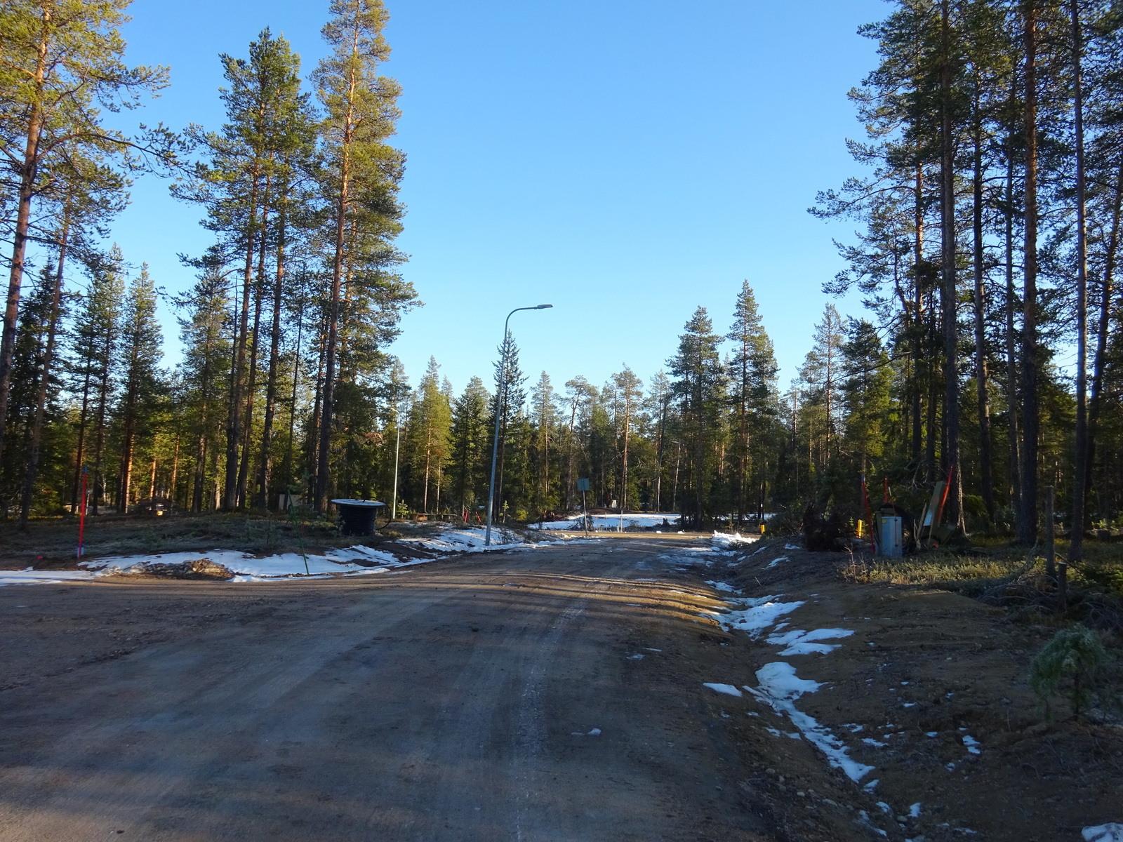 Valokuvassa näkyy mm. tontilla kasvavia puita ja muuta kasvillisuutta.