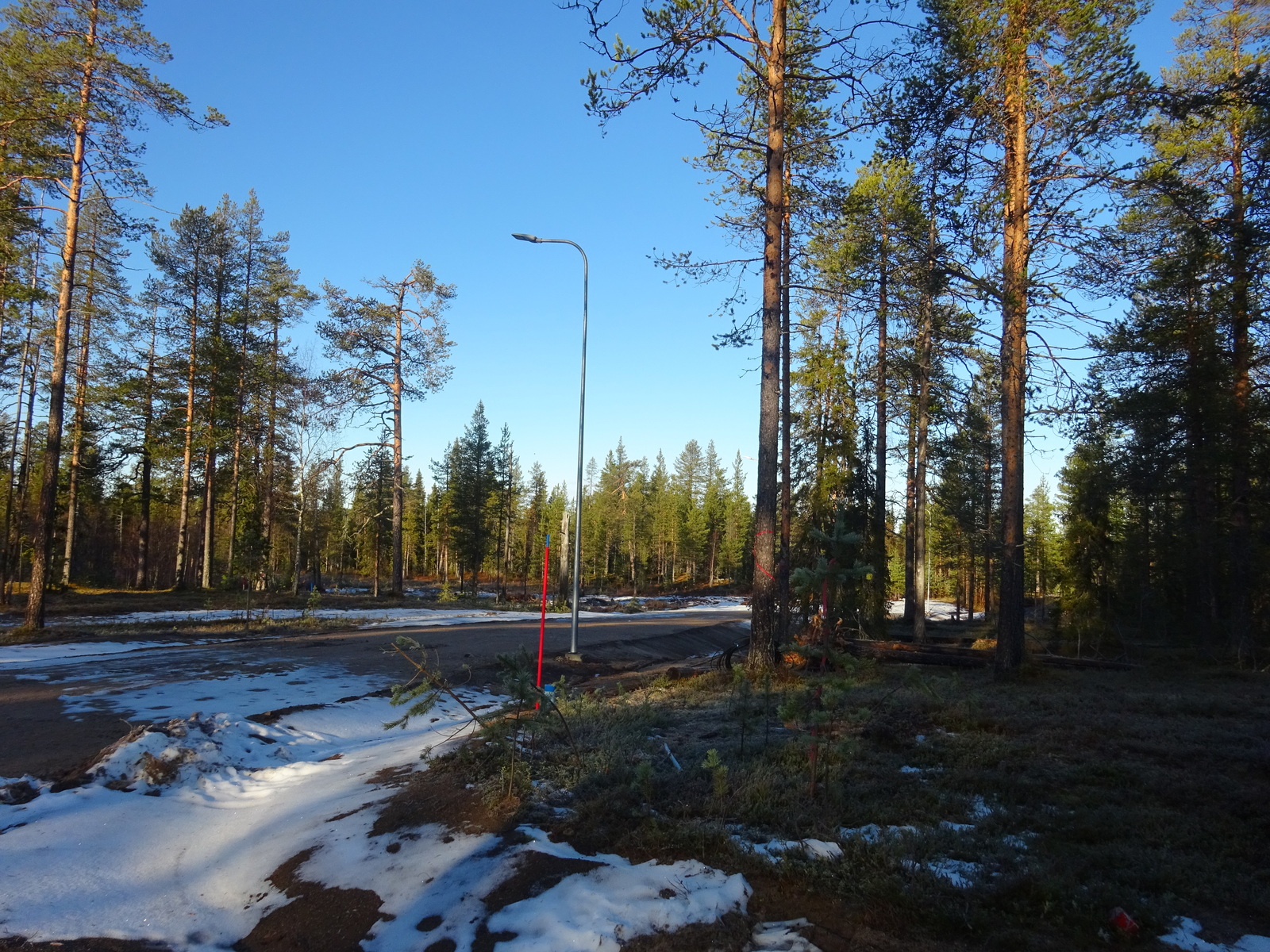 Valokuvassa näkyy mm. tontilla kasvavia puita ja muuta kasvillisuutta.