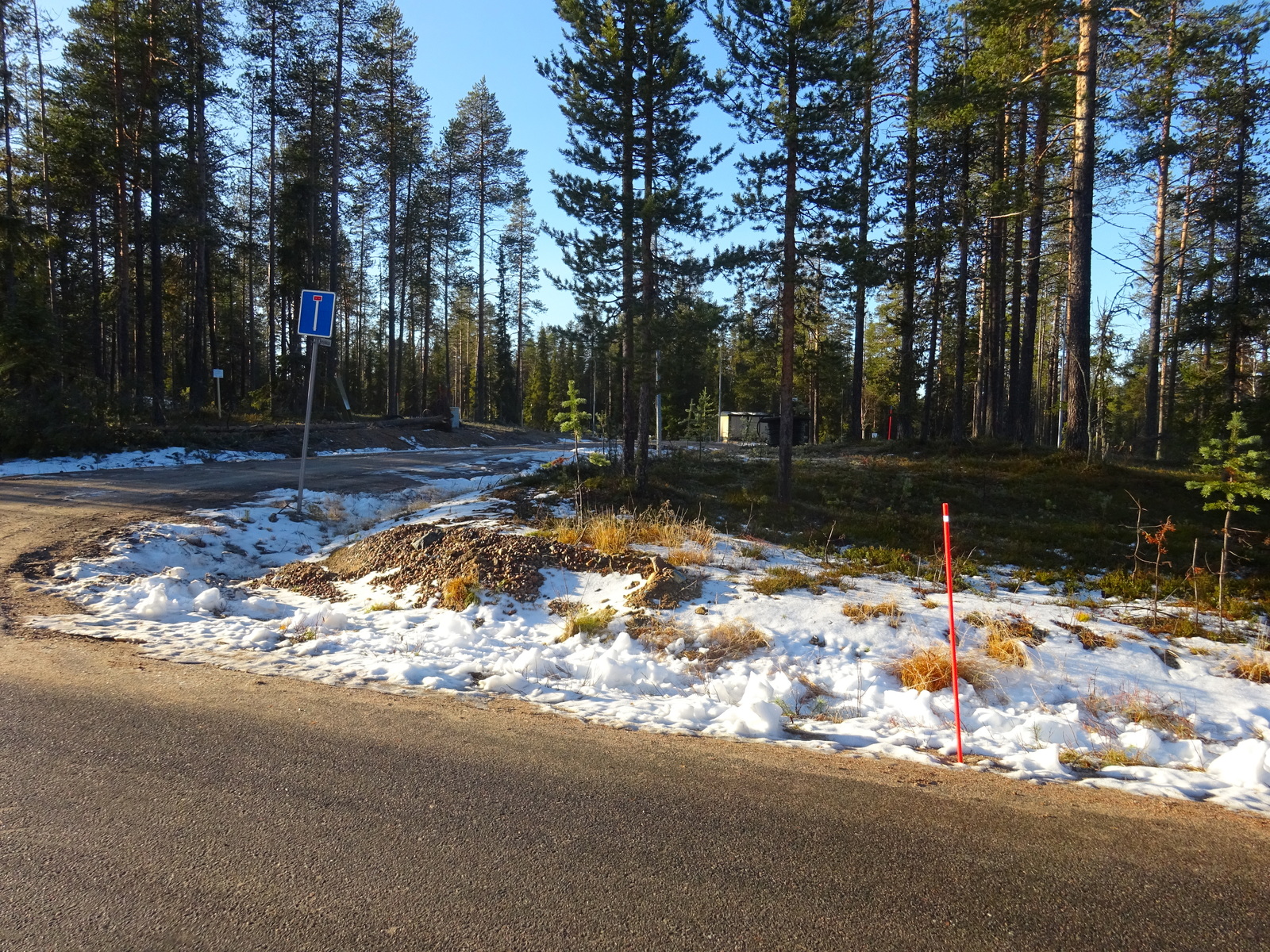 Valokuvassa näkyy mm. tontilla kasvavia puita ja muuta kasvillisuutta.