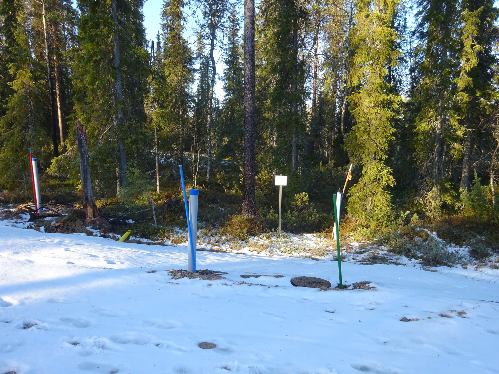 Valokuvassa näkyy mm. tontilla kasvavia puita ja muuta kasvillisuutta.