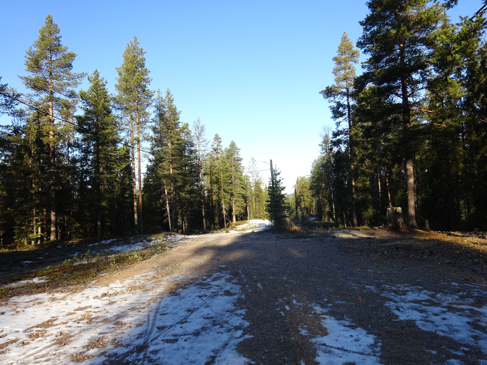 Valokuvassa näkyy mm. tontilla kasvavia puita ja muuta kasvillisuutta.