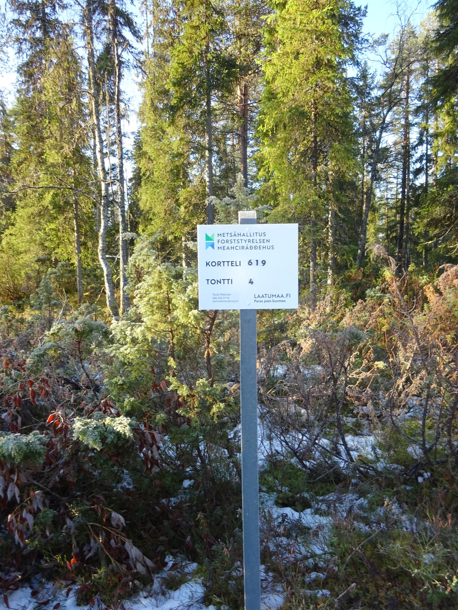 Valokuvassa näkyy mm. tontilla kasvavia puita ja muuta kasvillisuutta.