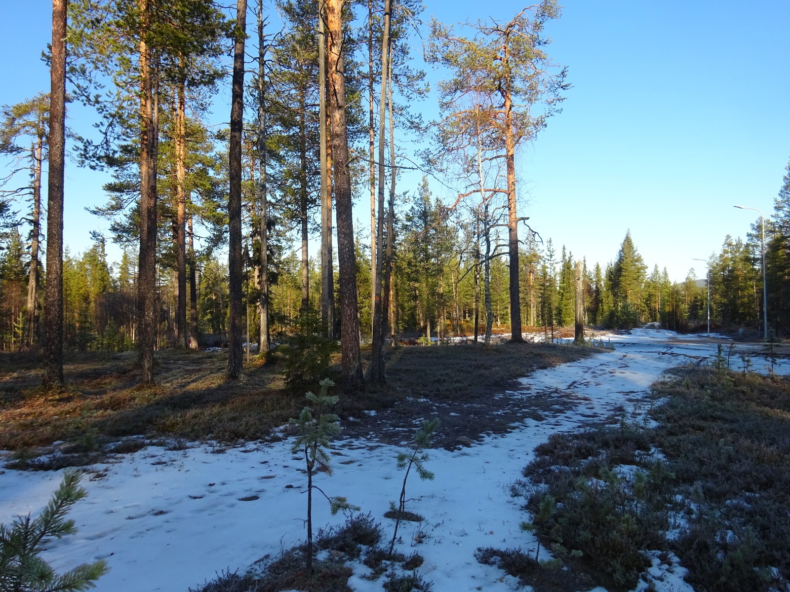 Valokuvassa näkyy mm. tontilla kasvavia puita ja muuta kasvillisuutta.